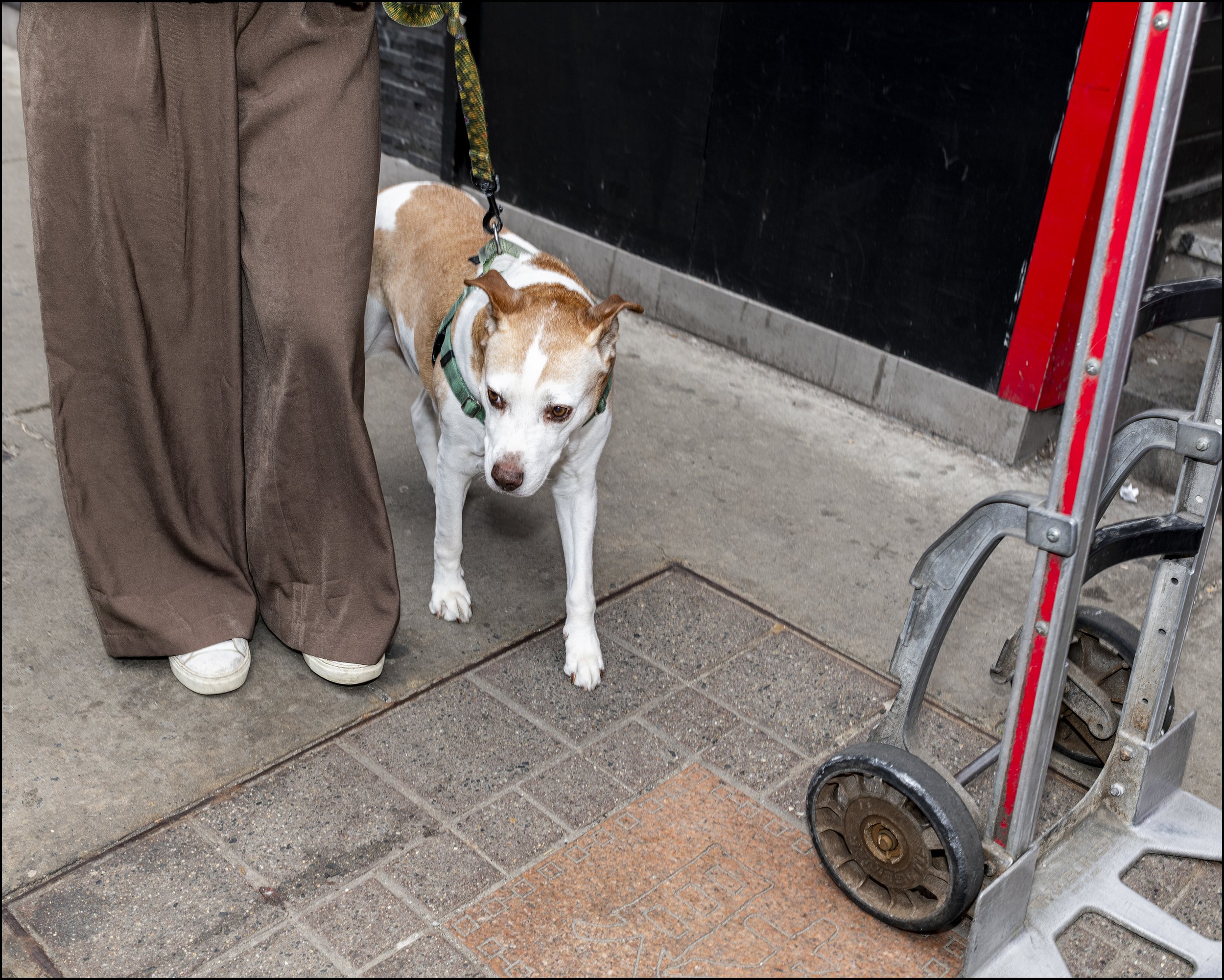 Congestion on the sidewalk.
