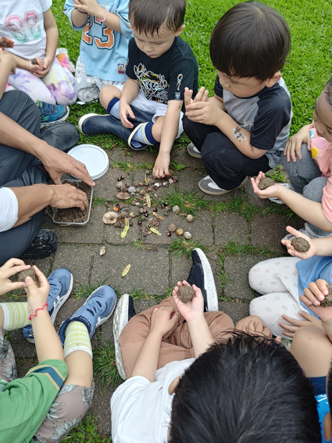 P_20250425_112208 Medium.png