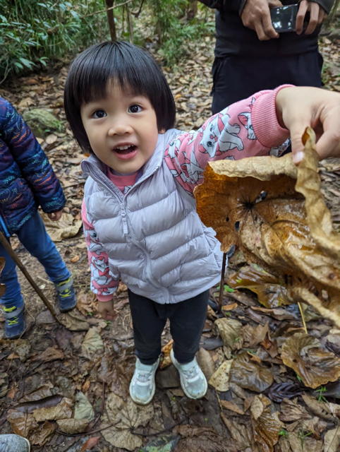 21e23963-1d0c-47e7-b8de-67eda34b18a9 Medium.png