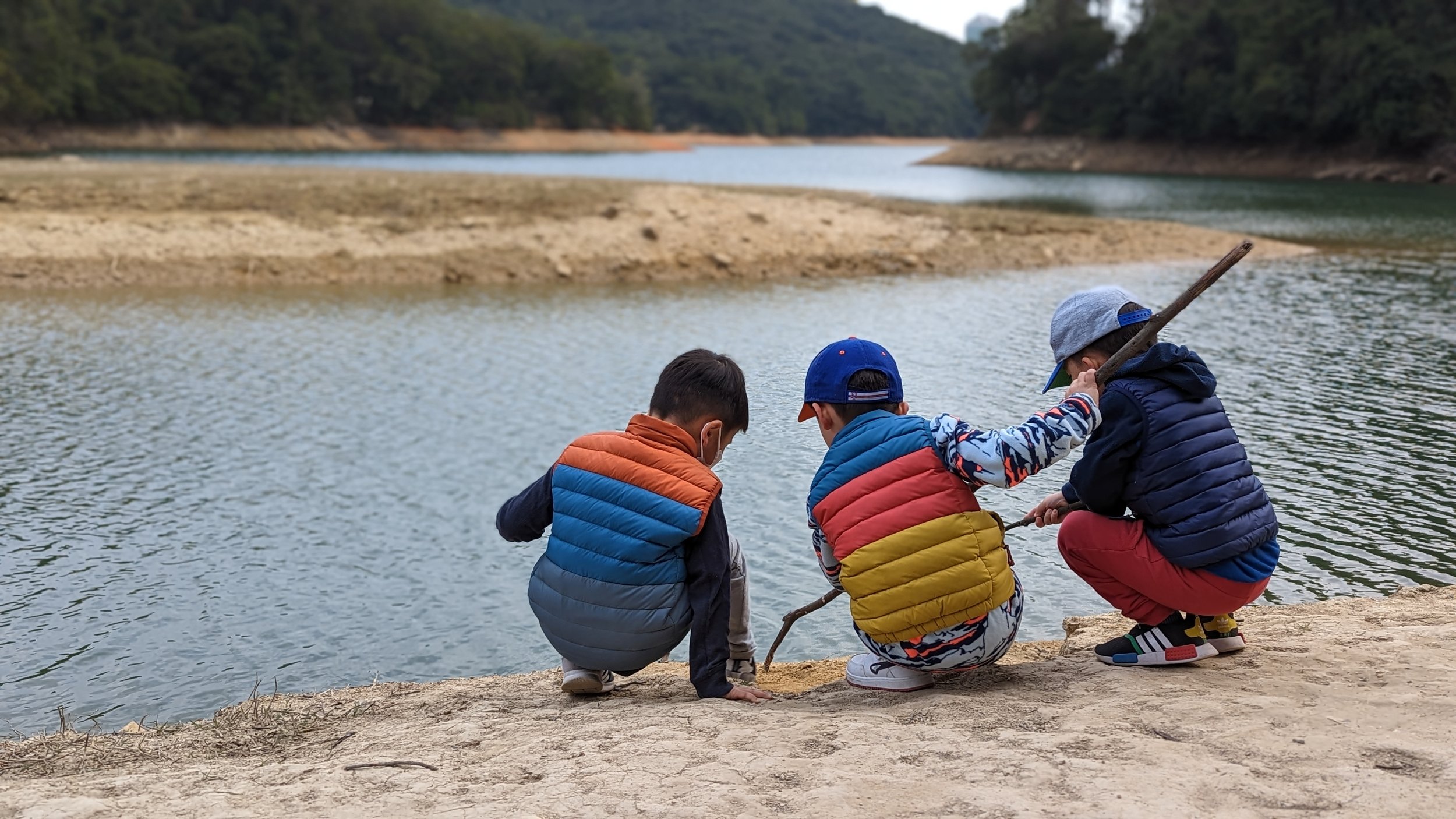 Mini Shedders at Reservoir