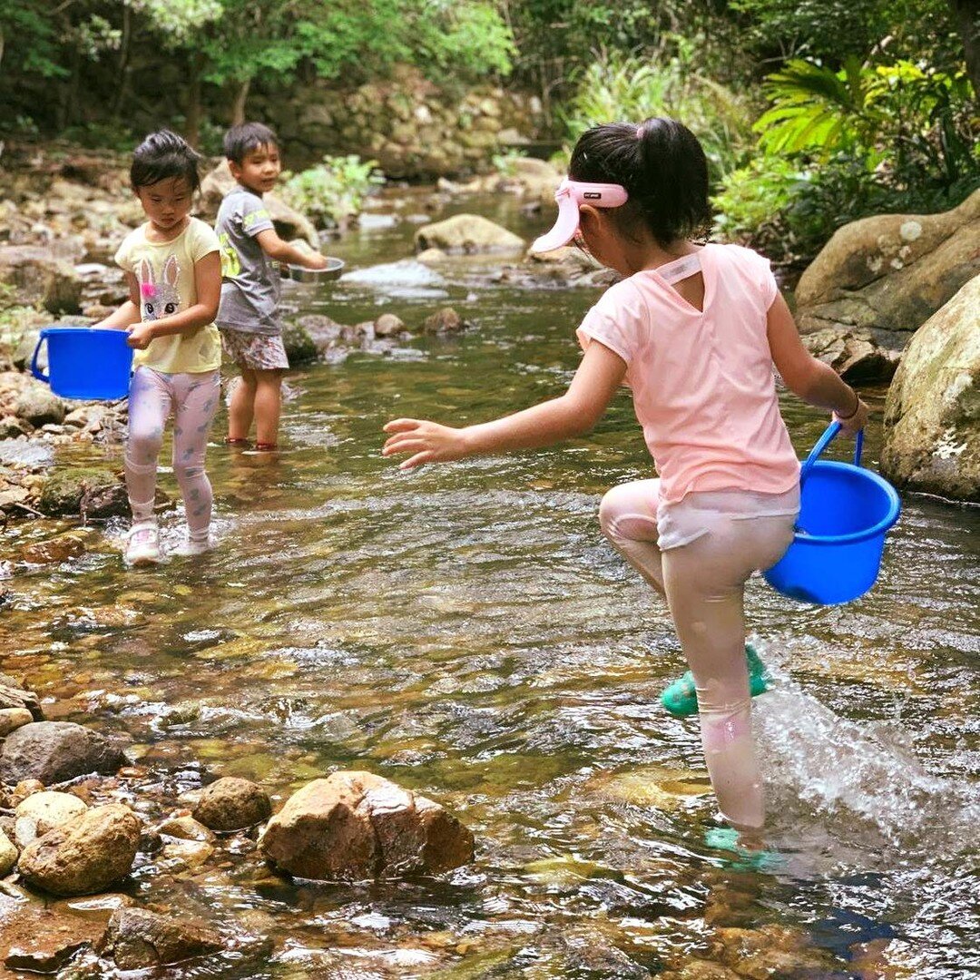 All kids love water! At first, there can be hesitation and apprehension, but after some time, they are all splish splashin&rsquo;! 💦
💧 Hong Kong&rsquo;s rivers and streams are always a stop on our outdoor sessions. It allows for us to encourage our
