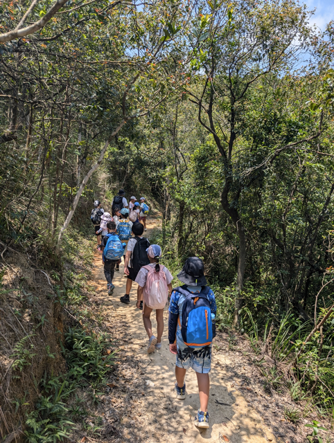 PXL_20240808_052809620 Medium.png