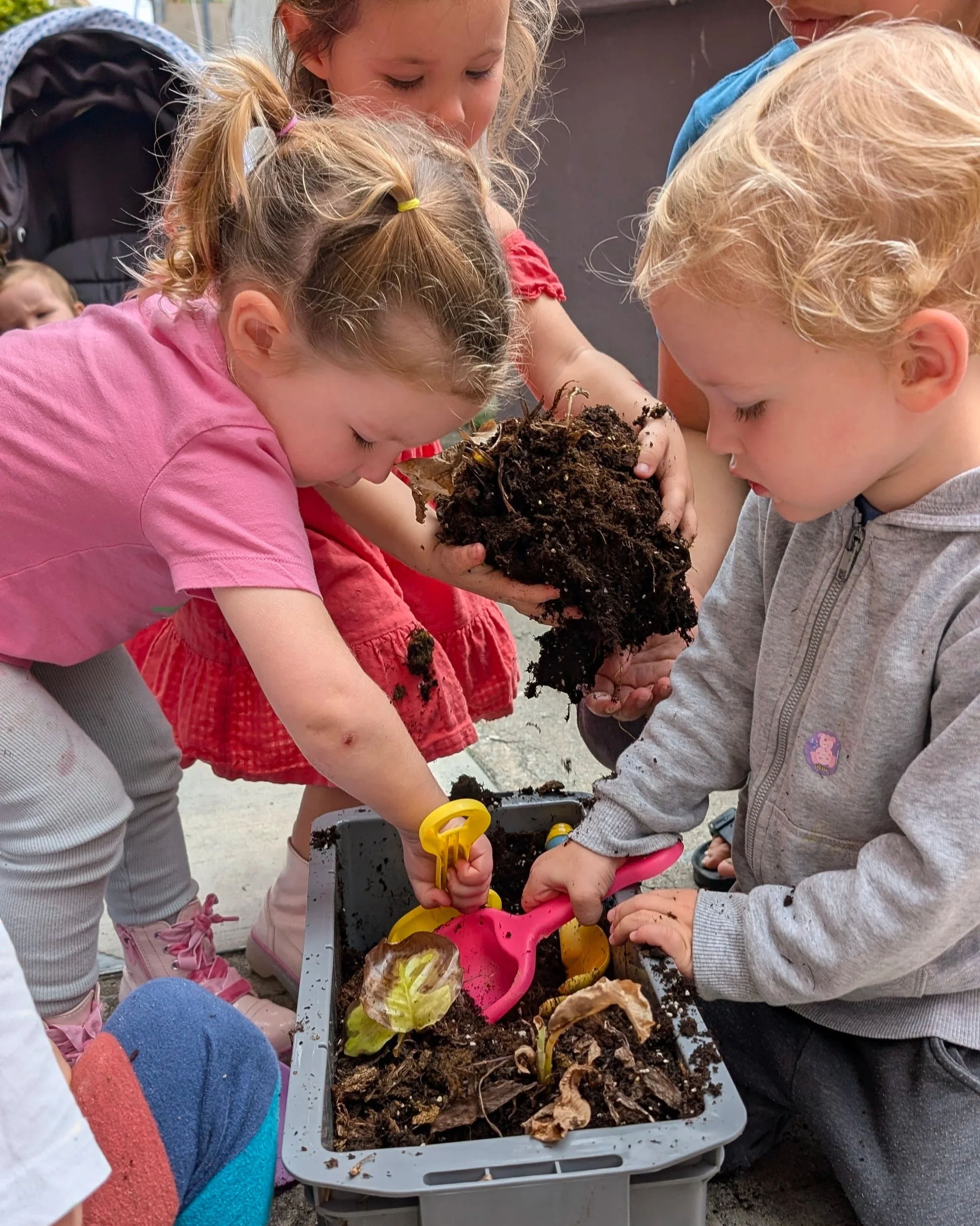 PXL_20250303_032534306.jpg (Copy)