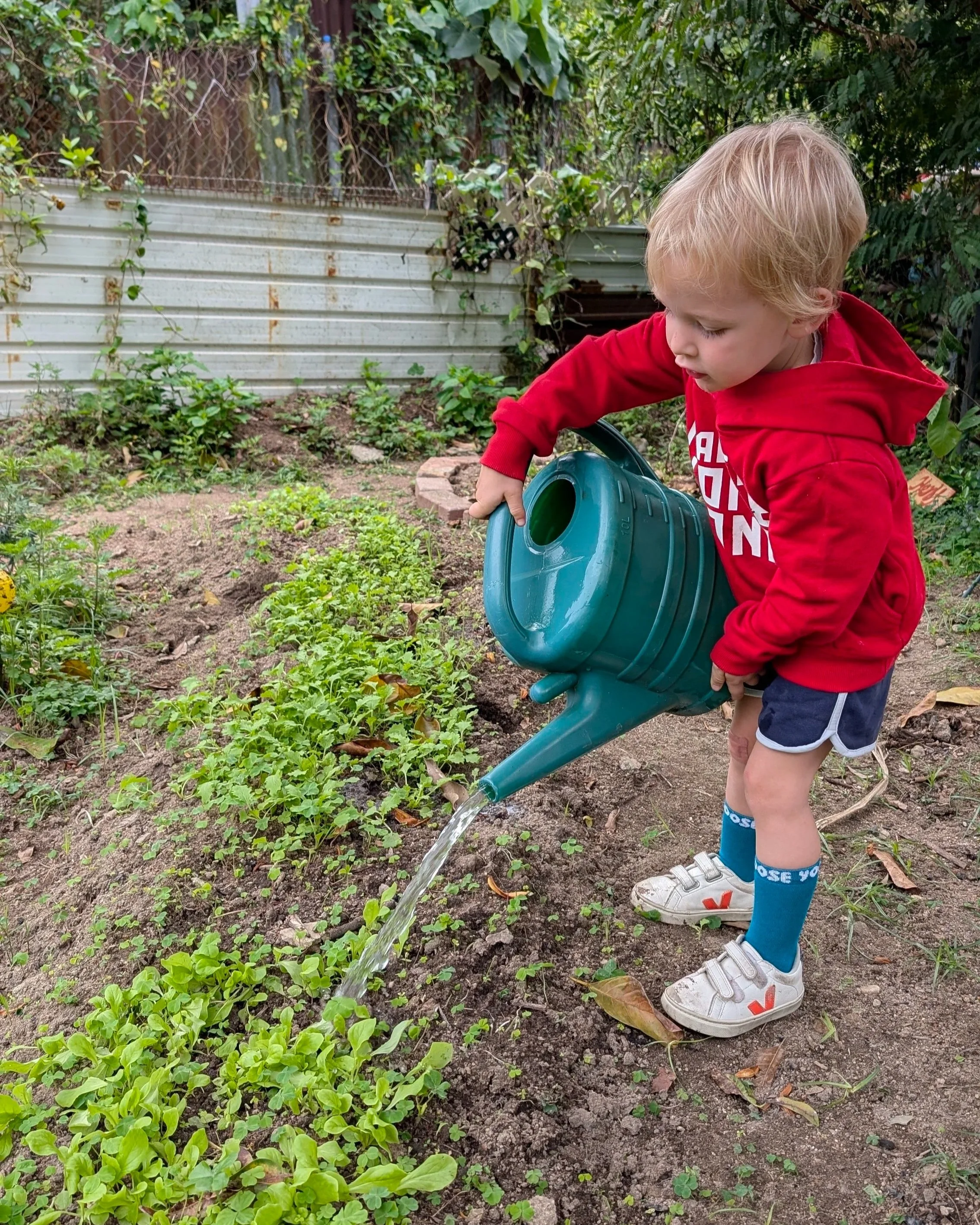 PXL_20250317_033639545.jpg (Copy)