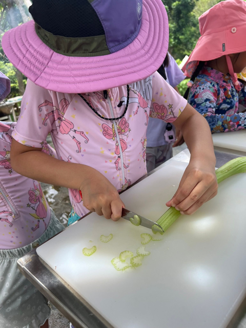 WhatsApp Image 2025-07-02 at 3.41.58 PM Medium.png