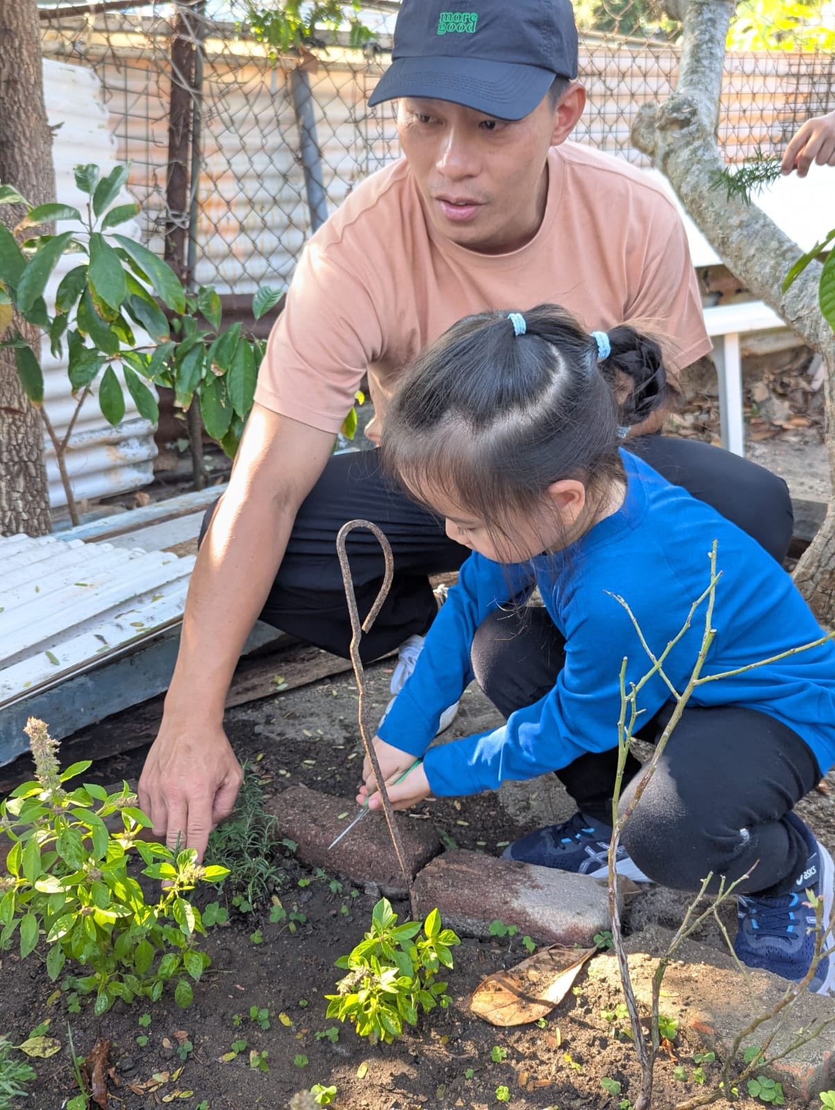 WhatsApp Image 2025-12-30 at 17.19.26.jpeg