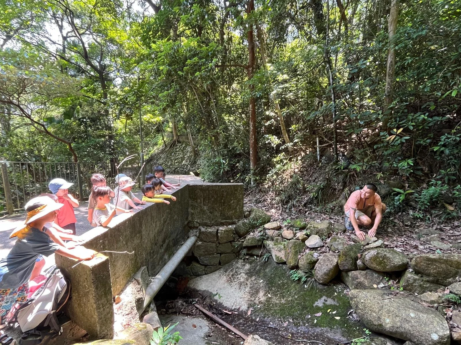 WhatsApp Image 2025-07-04 at 12.30.35 PM.jpeg