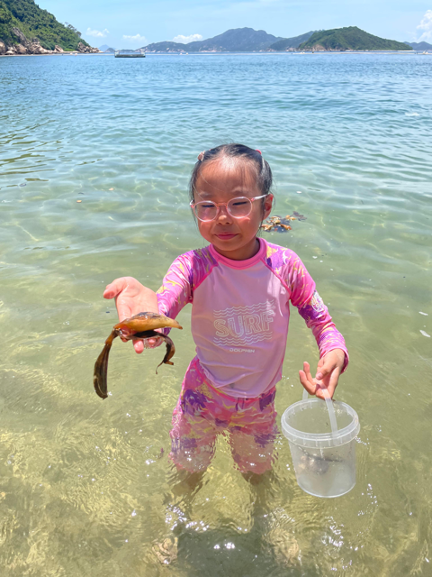 WhatsApp Image 2025-08-12 at 3.22.07 PM Medium.png