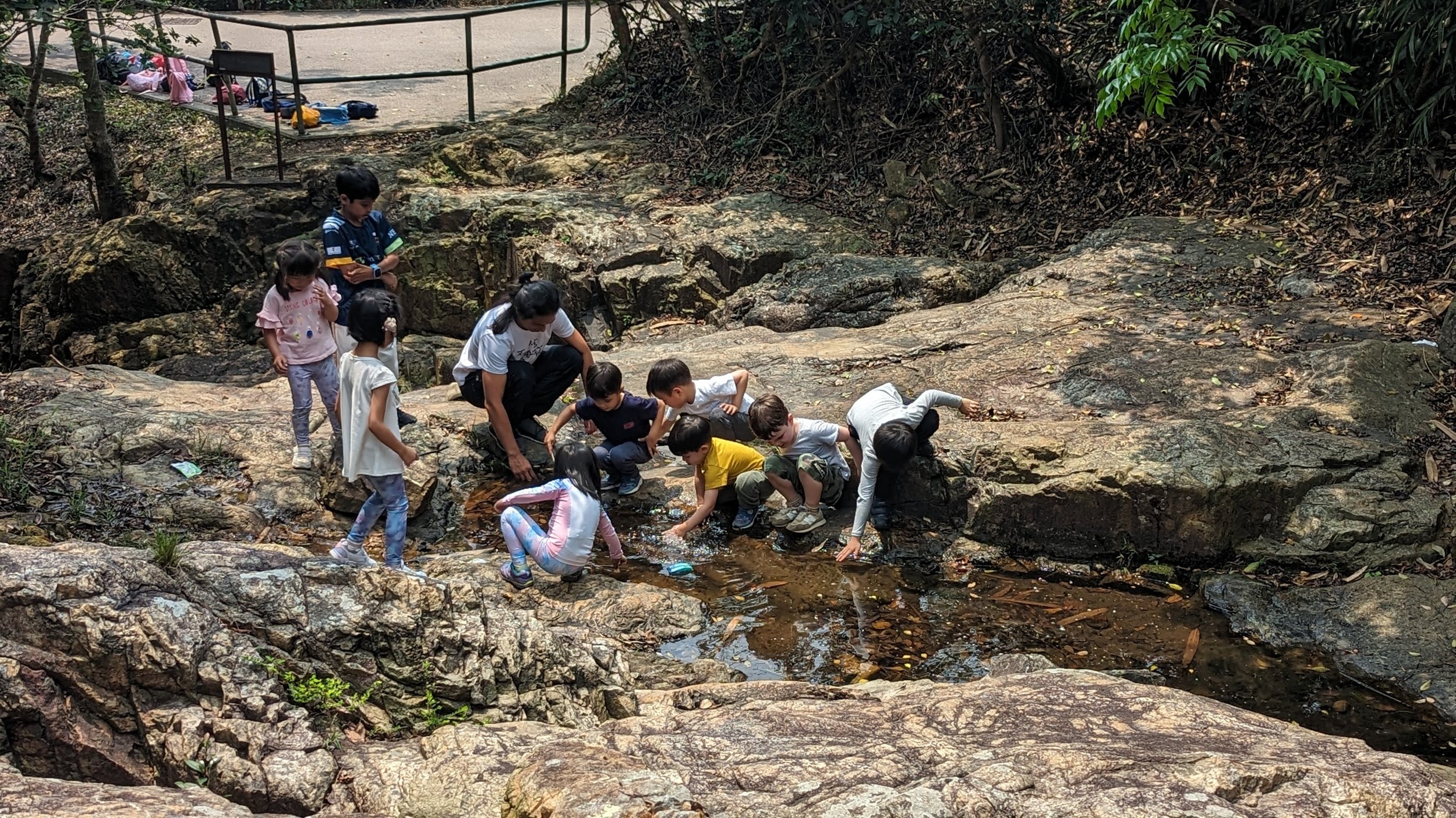 Shedders Pok Fu Lam Stream