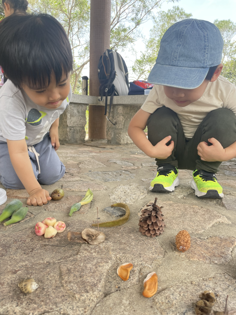 IMG_4358 (2) Medium.png