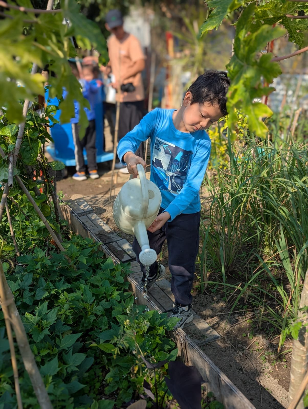 WhatsApp Image 2025-12-30 at 17.19.15.jpeg