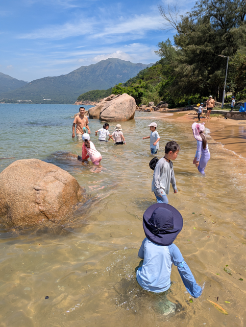 PXL_20250725_025918301.MP Medium.png