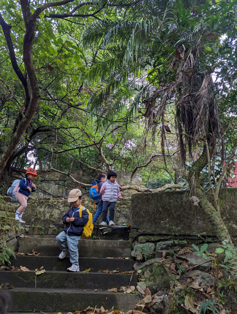 ebe65a99-3ac3-46a5-a65a-160e318ae844 Medium.png