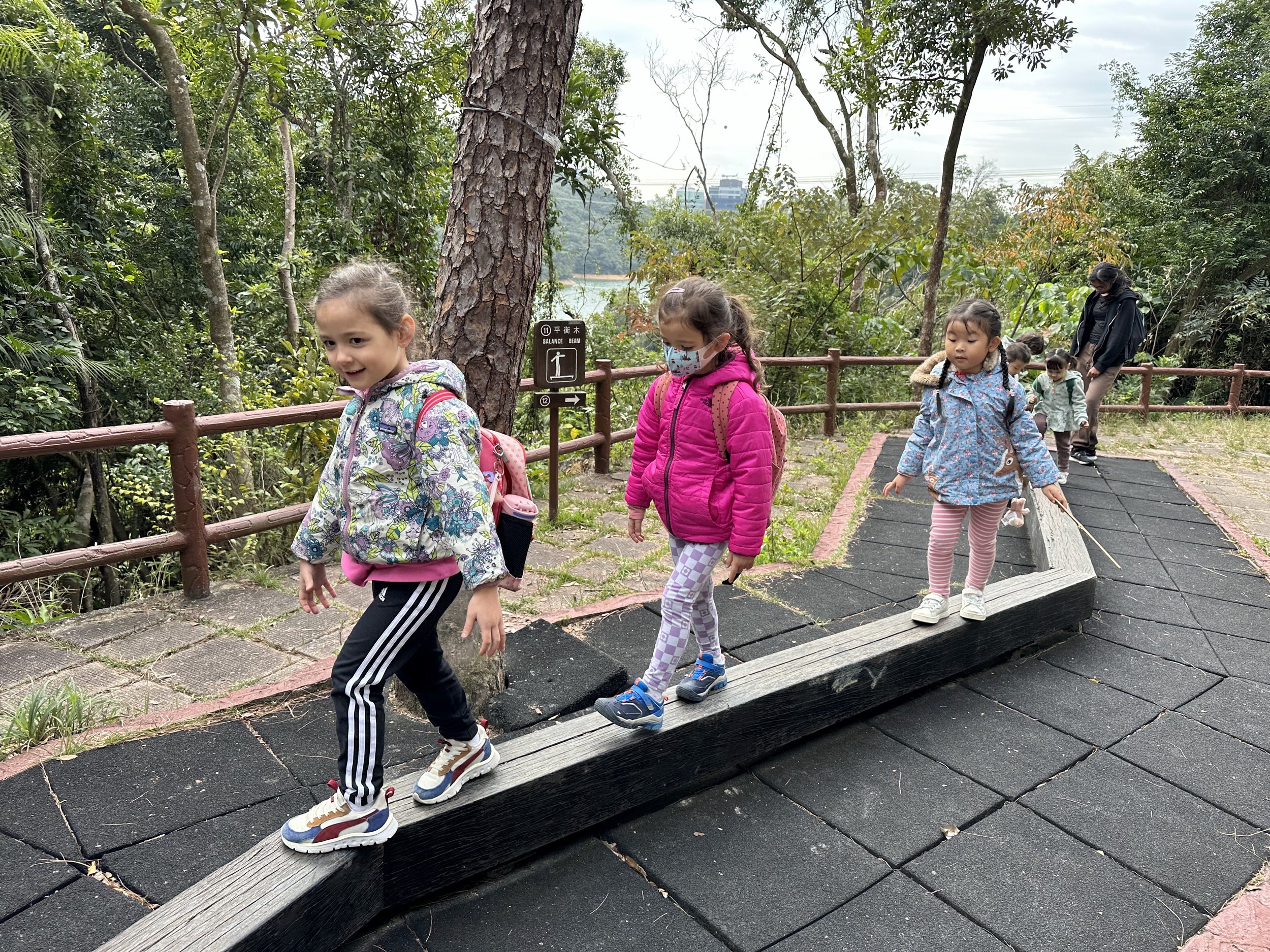 Mini Shedders Balance Beam