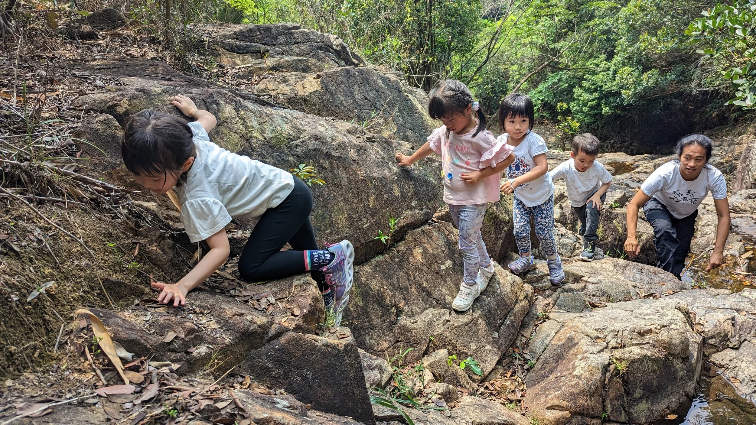 Shedders Climbing