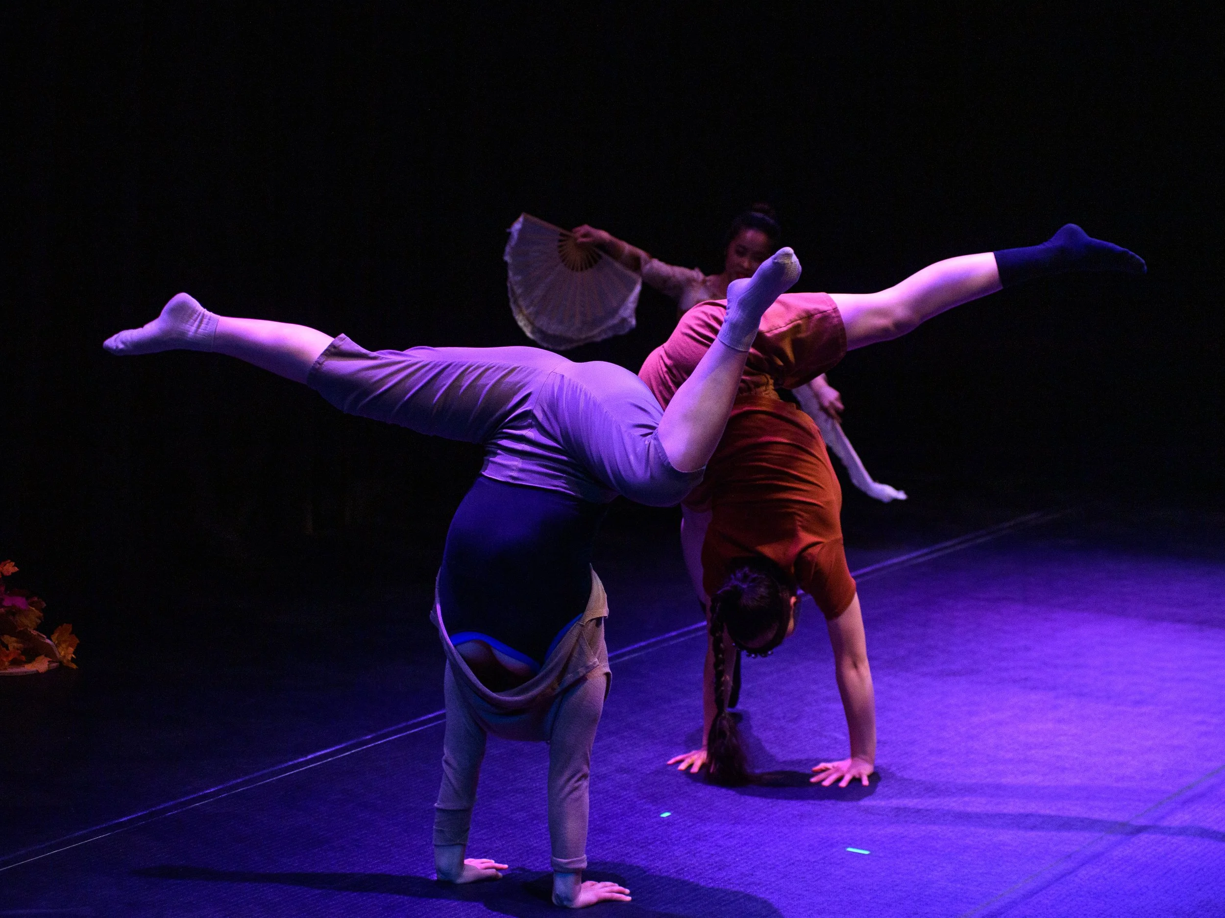 Spiders Handstands.jpg