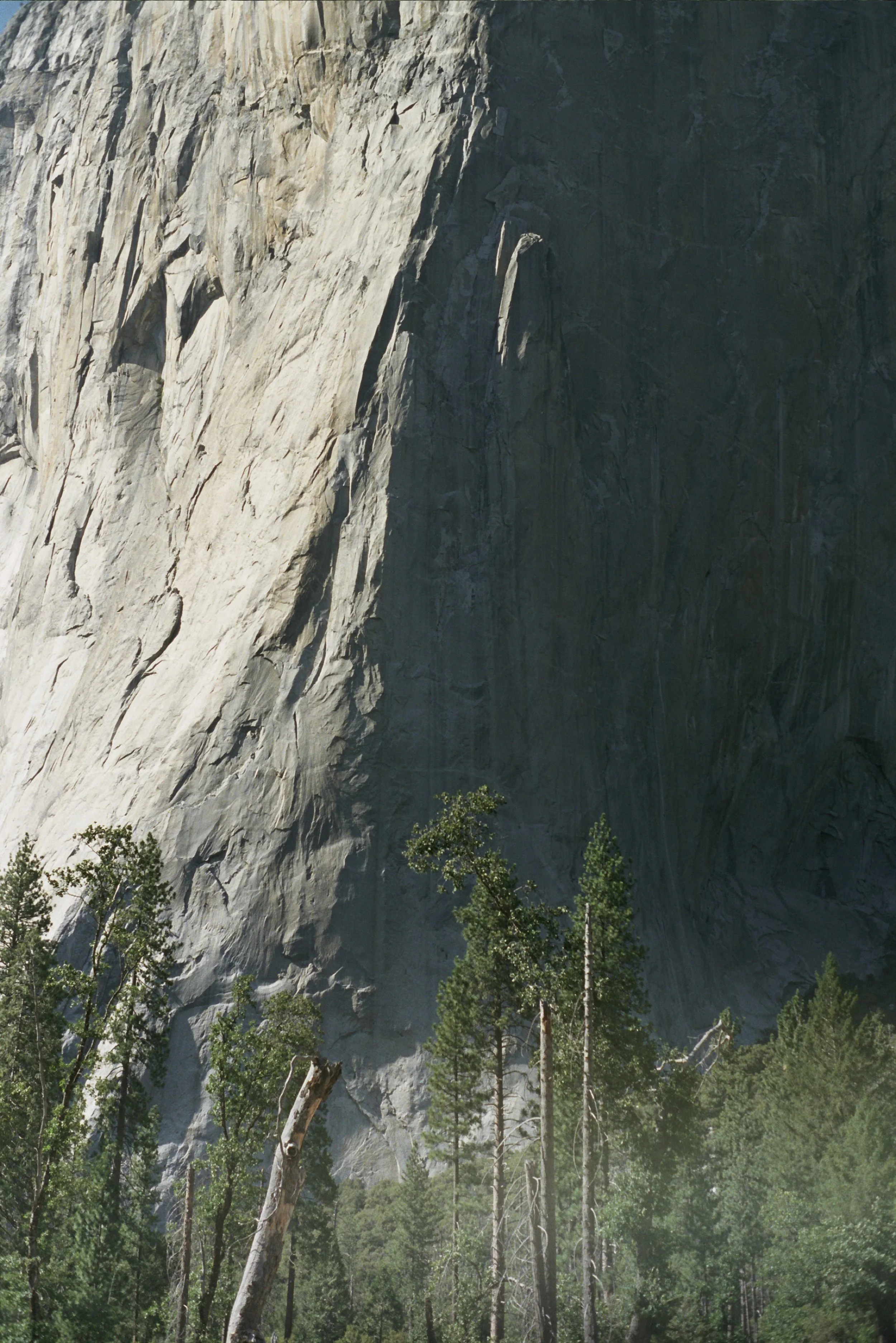 _10_0050 copy.jpg