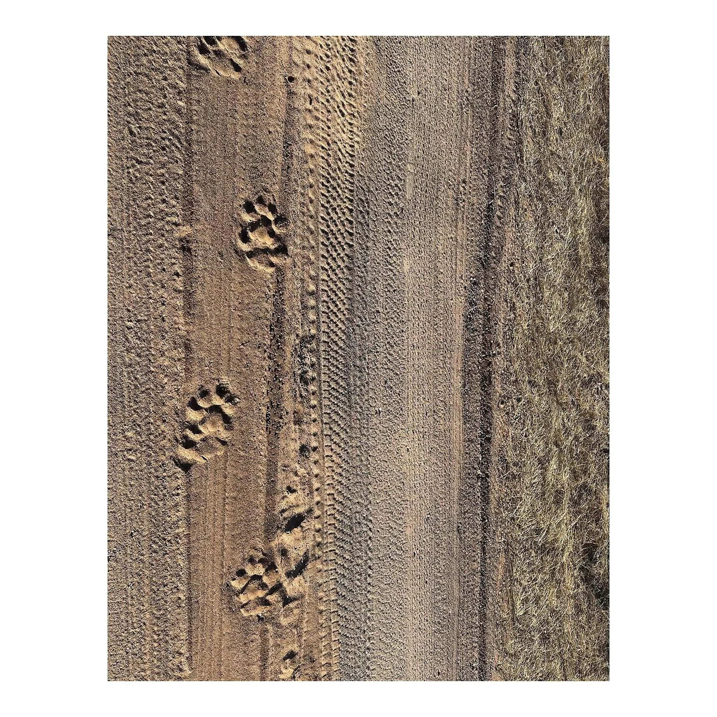 something&rsquo;s afoot