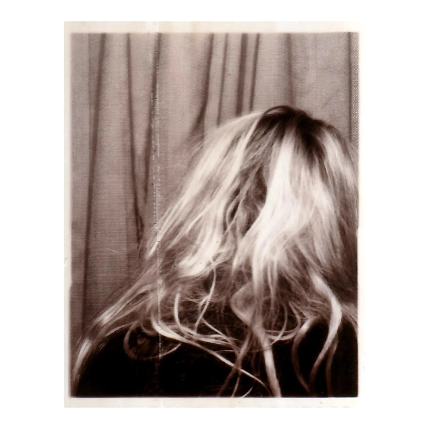 sorry @lexiontheinternet