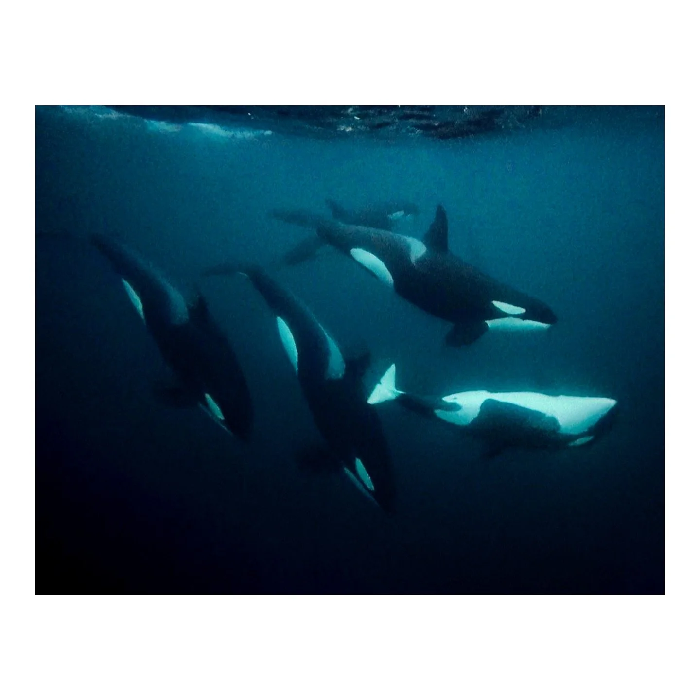 bucket list dream world