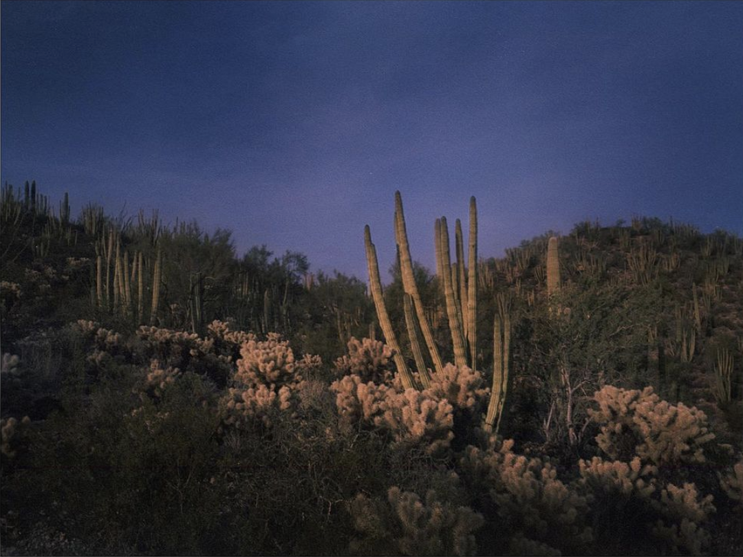 Screen Shot 2021-05-19 at 12.28.53 PM.png