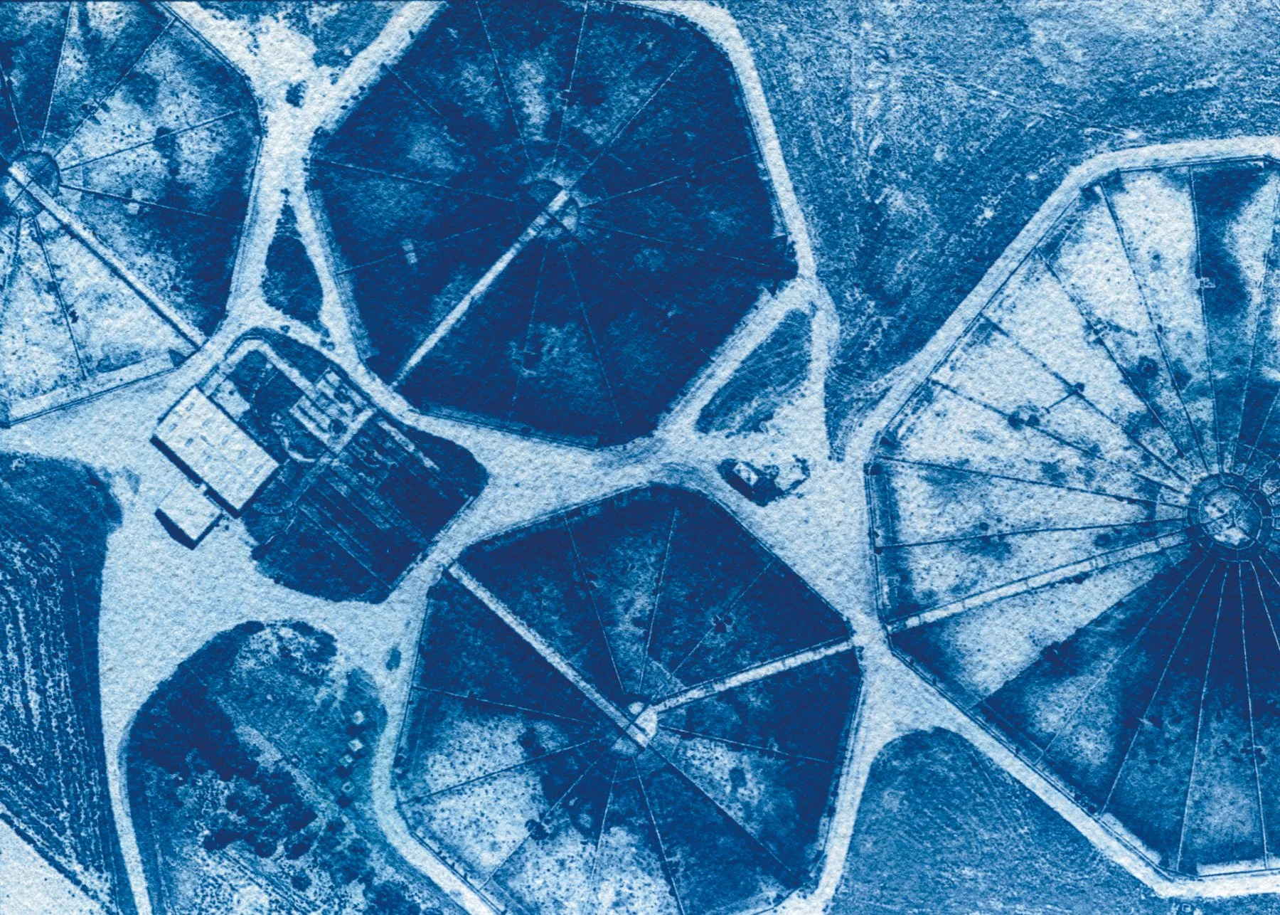 Blueprint 5, Kari Varner