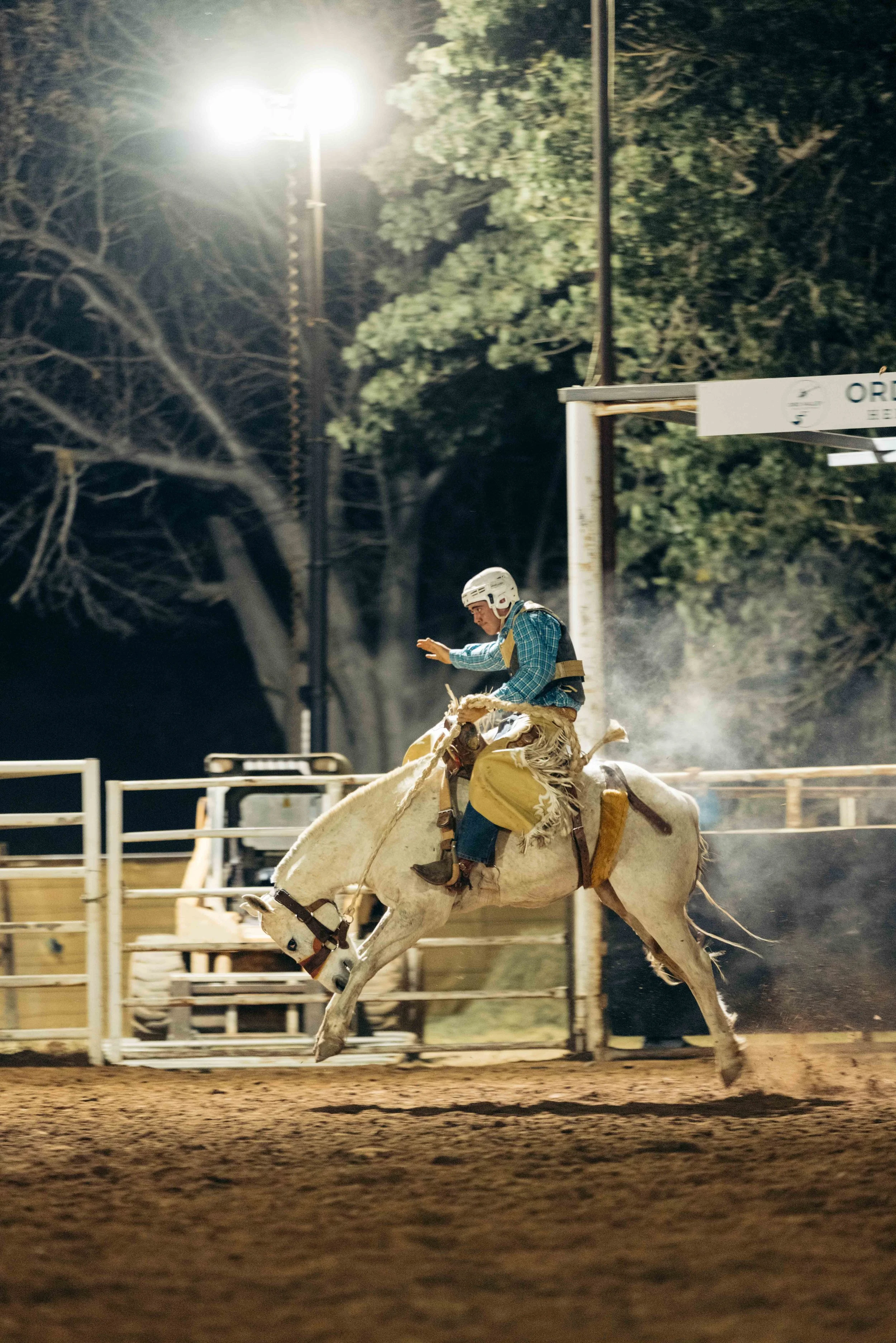 Rodeo -73-73.jpg