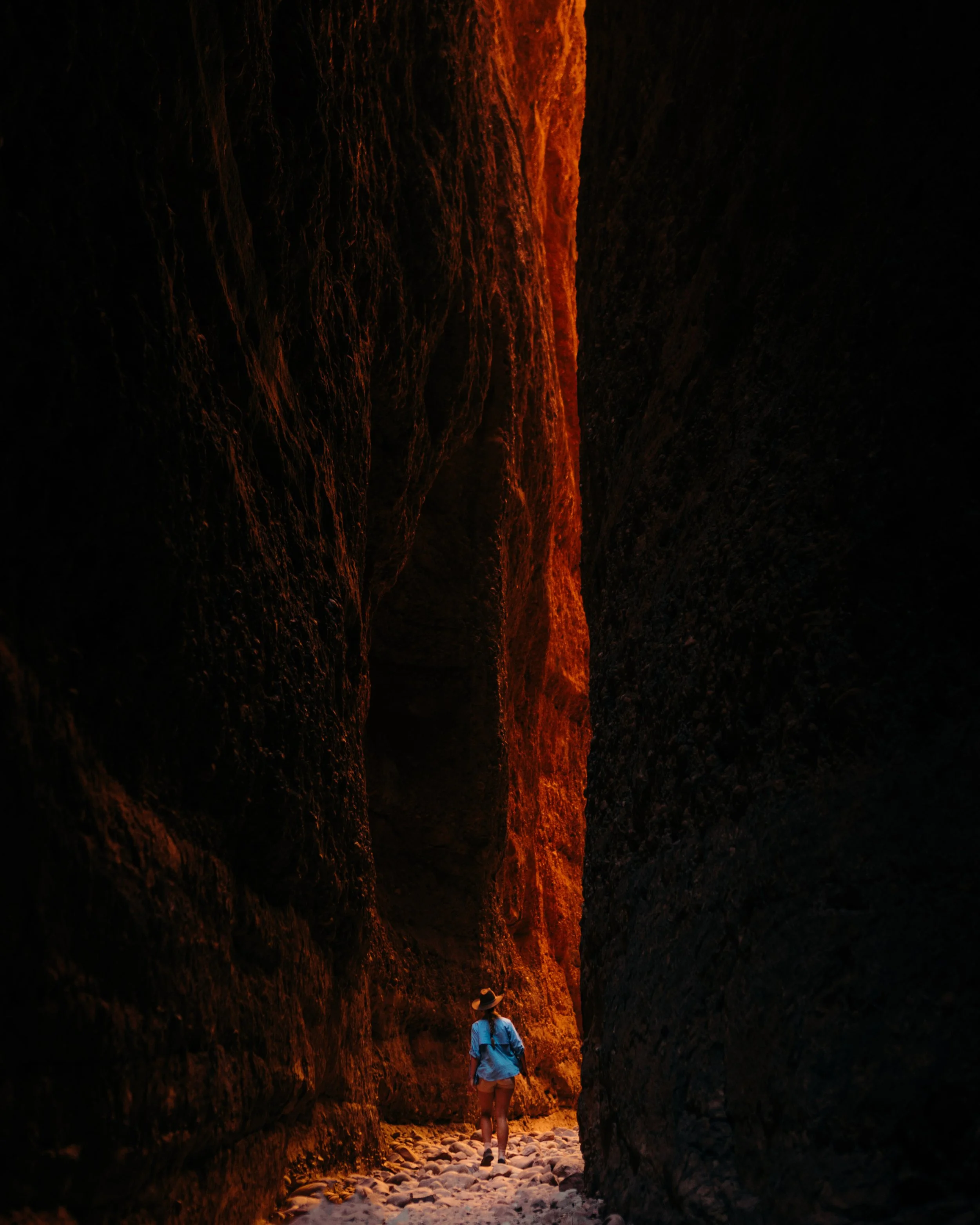 bungles -8.jpg