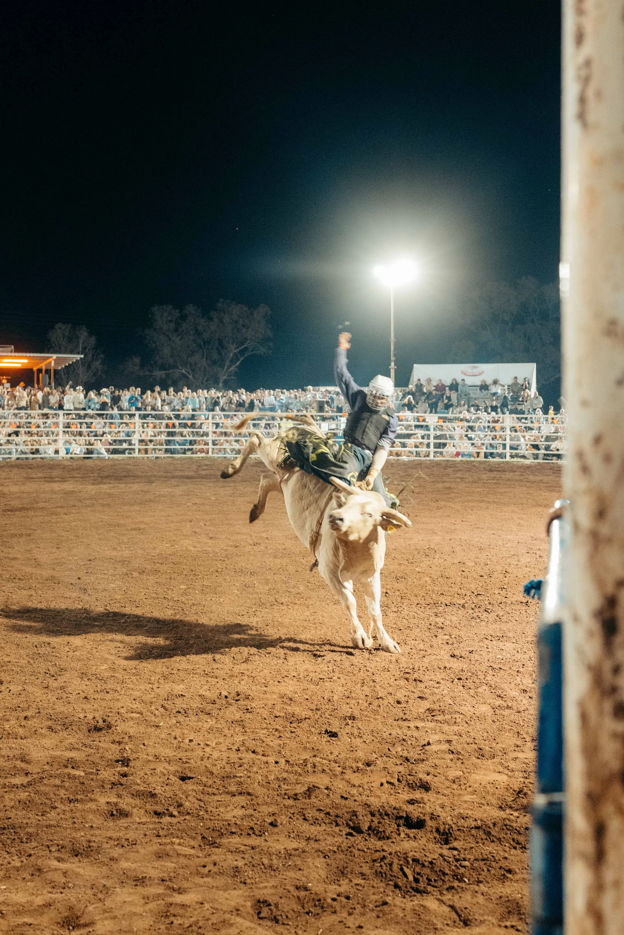Rodeo -91-91.jpg