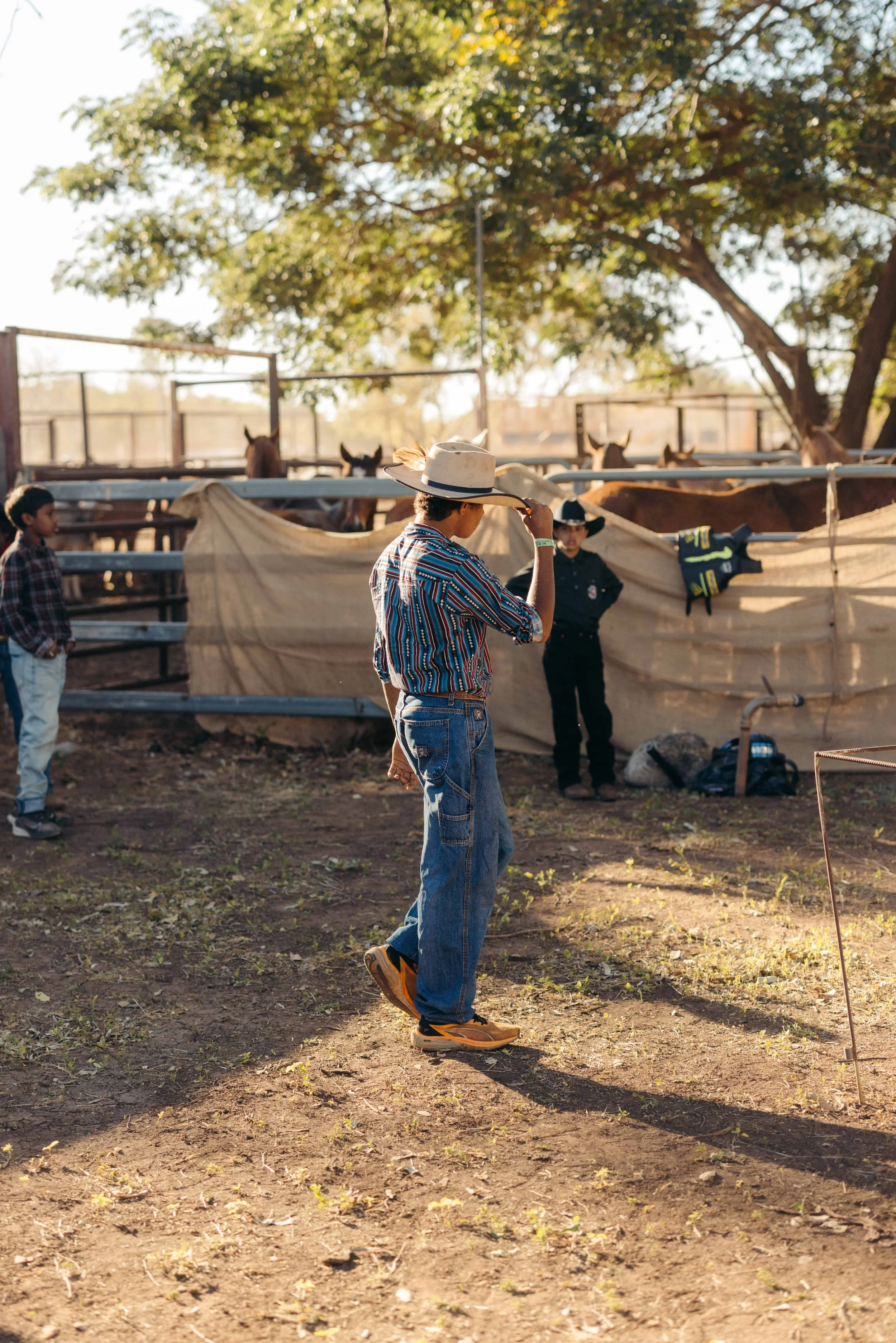 Rodeo -4-4.jpg
