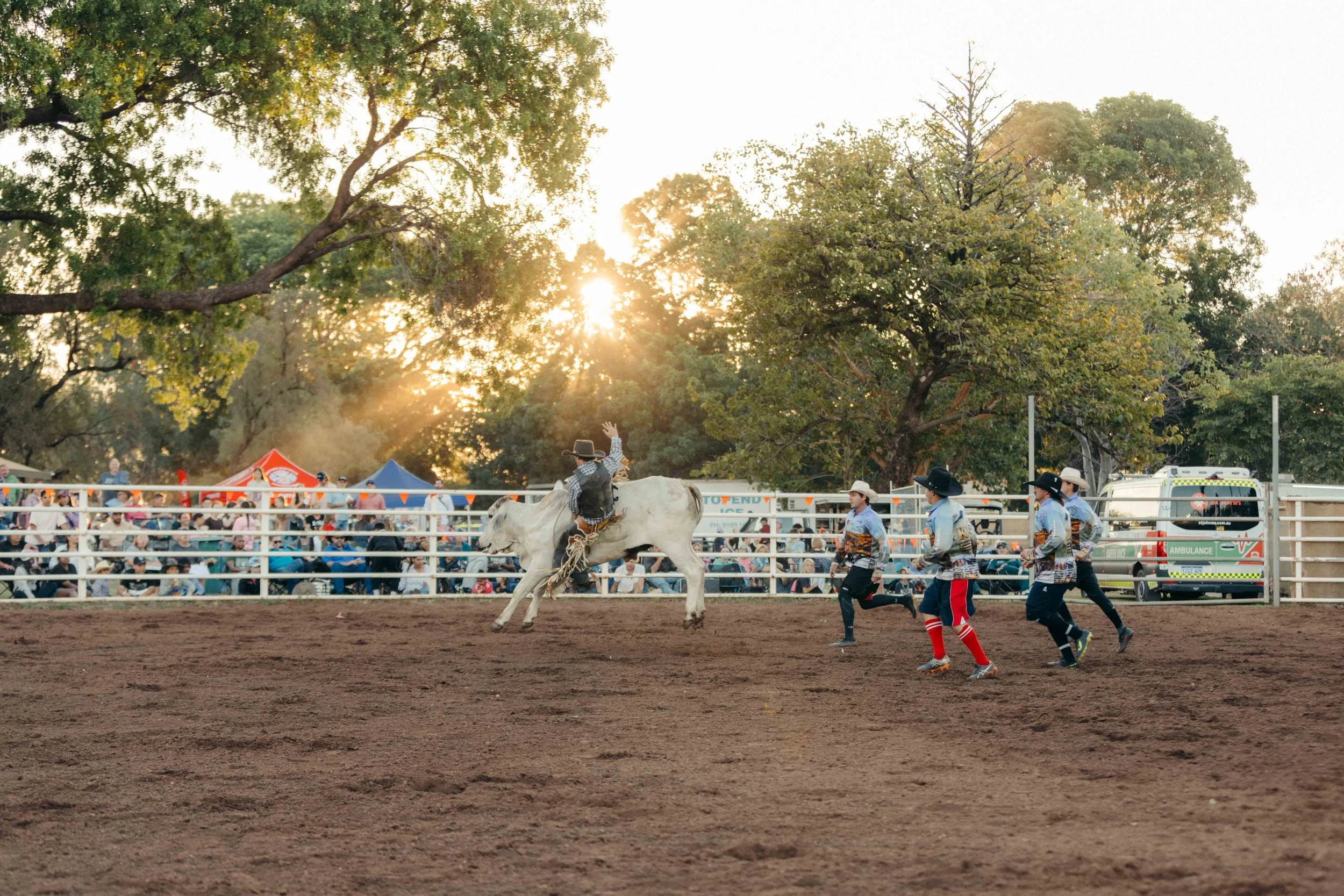 Rodeo -32-32.jpg