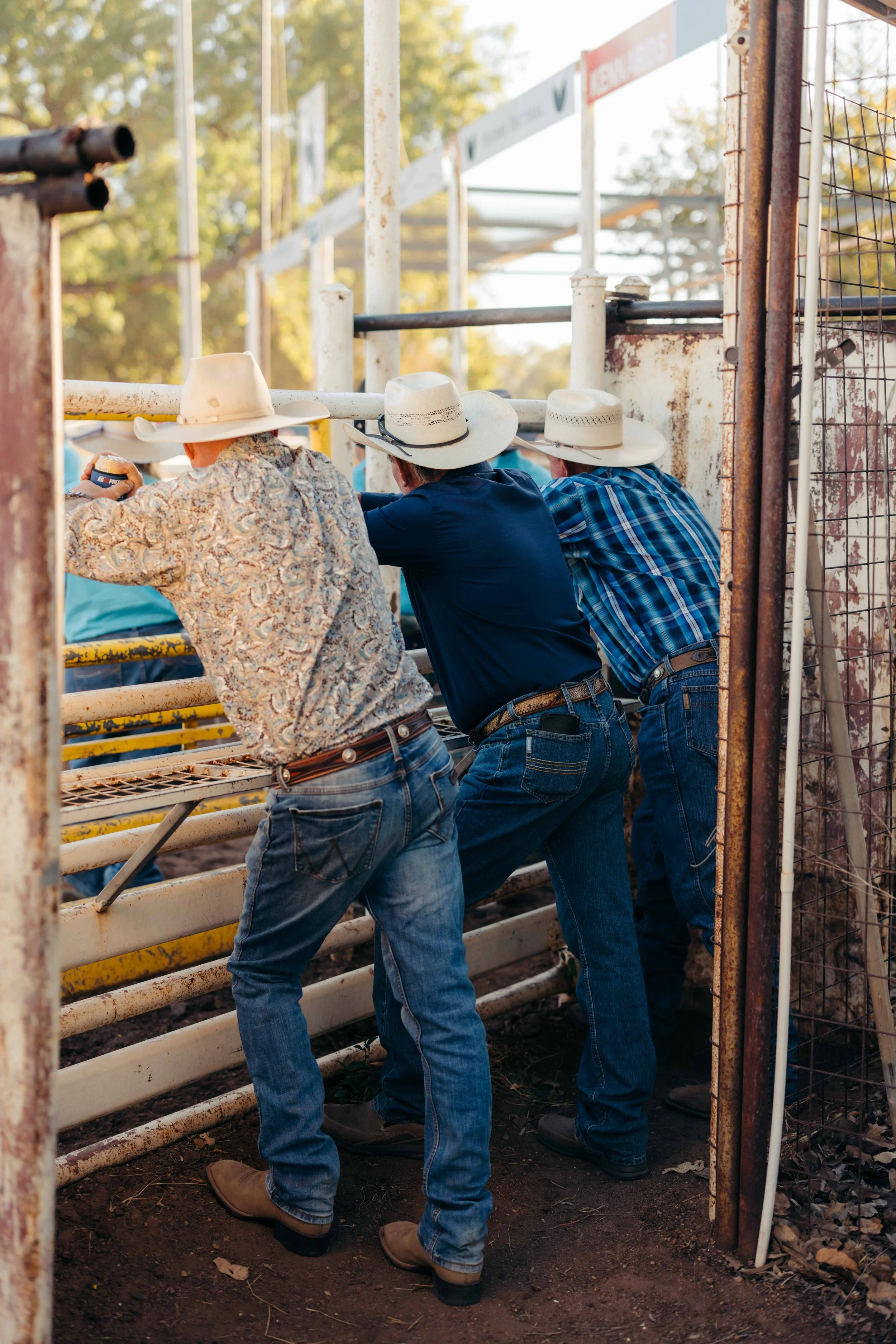 Rodeo -5-5.jpg