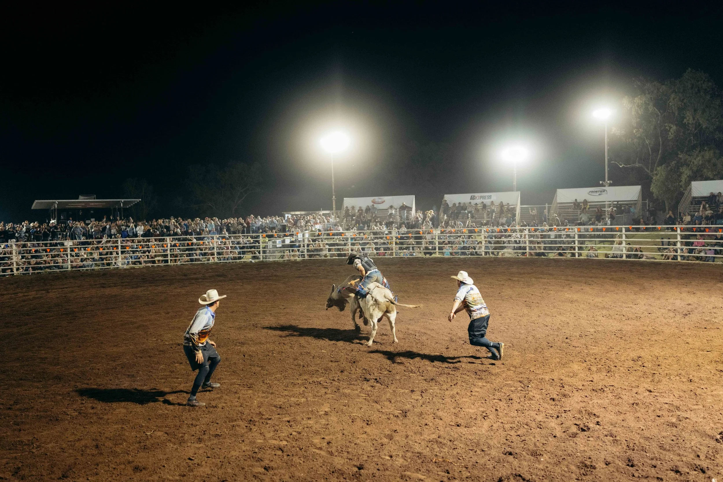 Rodeo -120-120.jpg