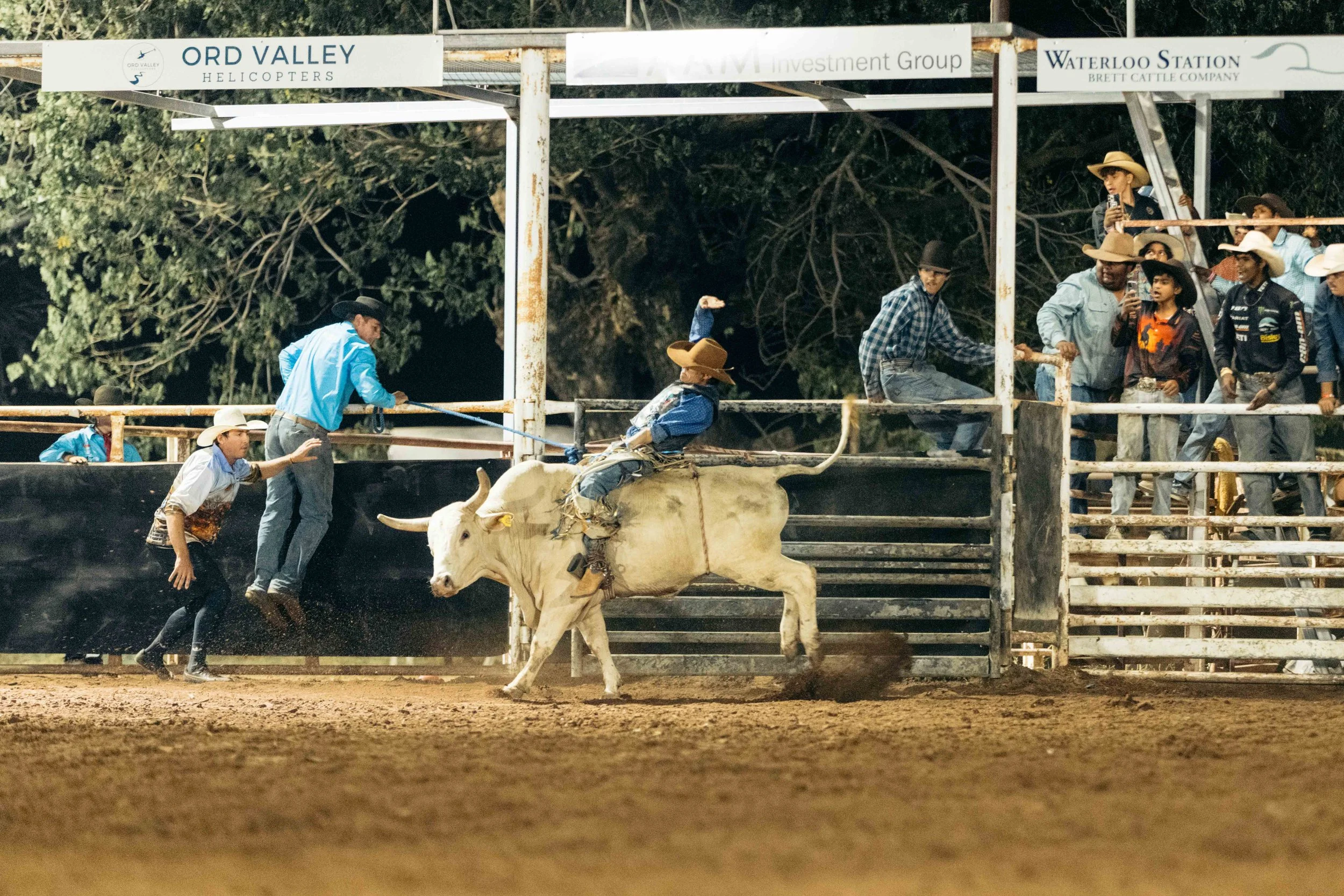 Rodeo -94-94.jpg