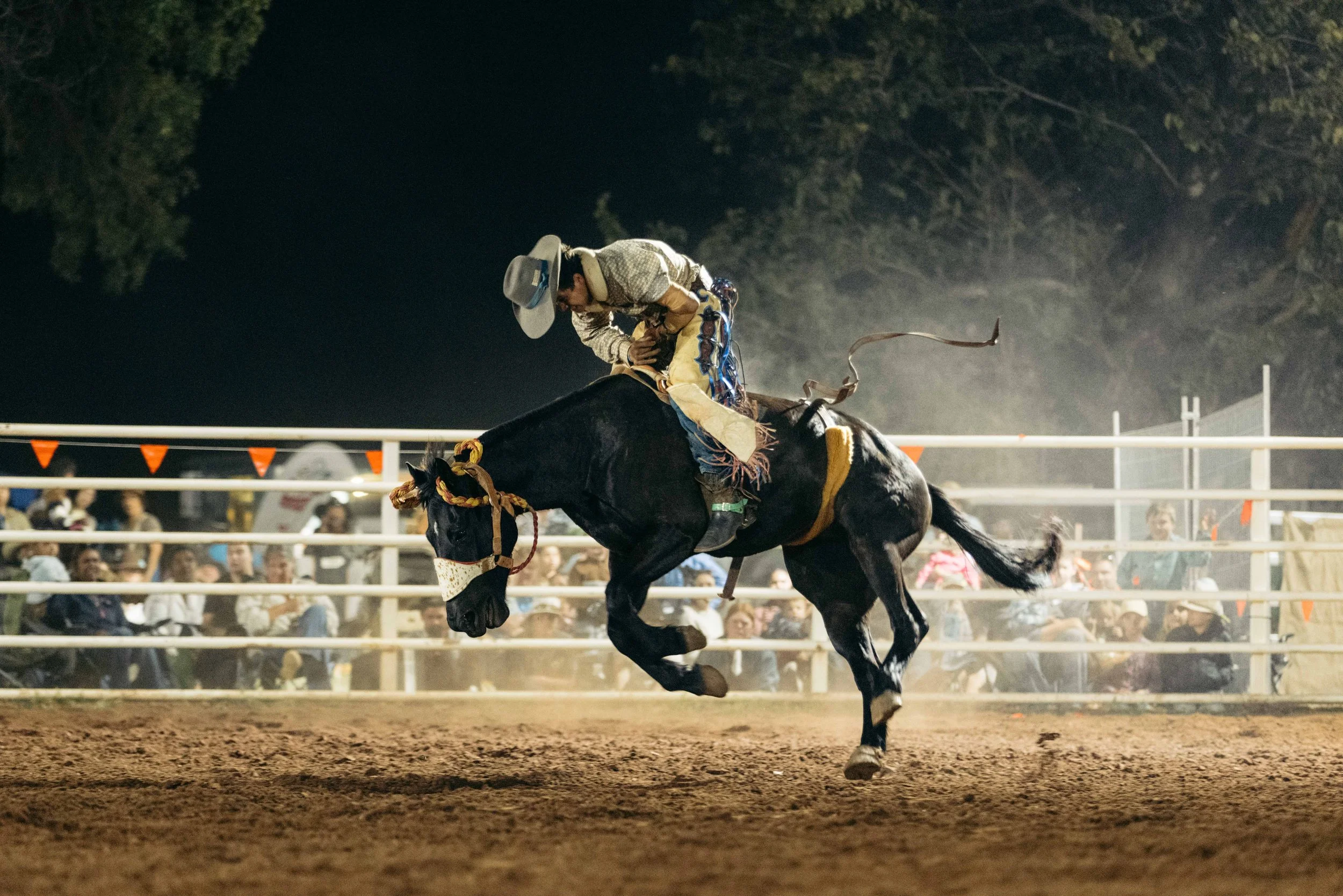 Rodeo -104-104.jpg