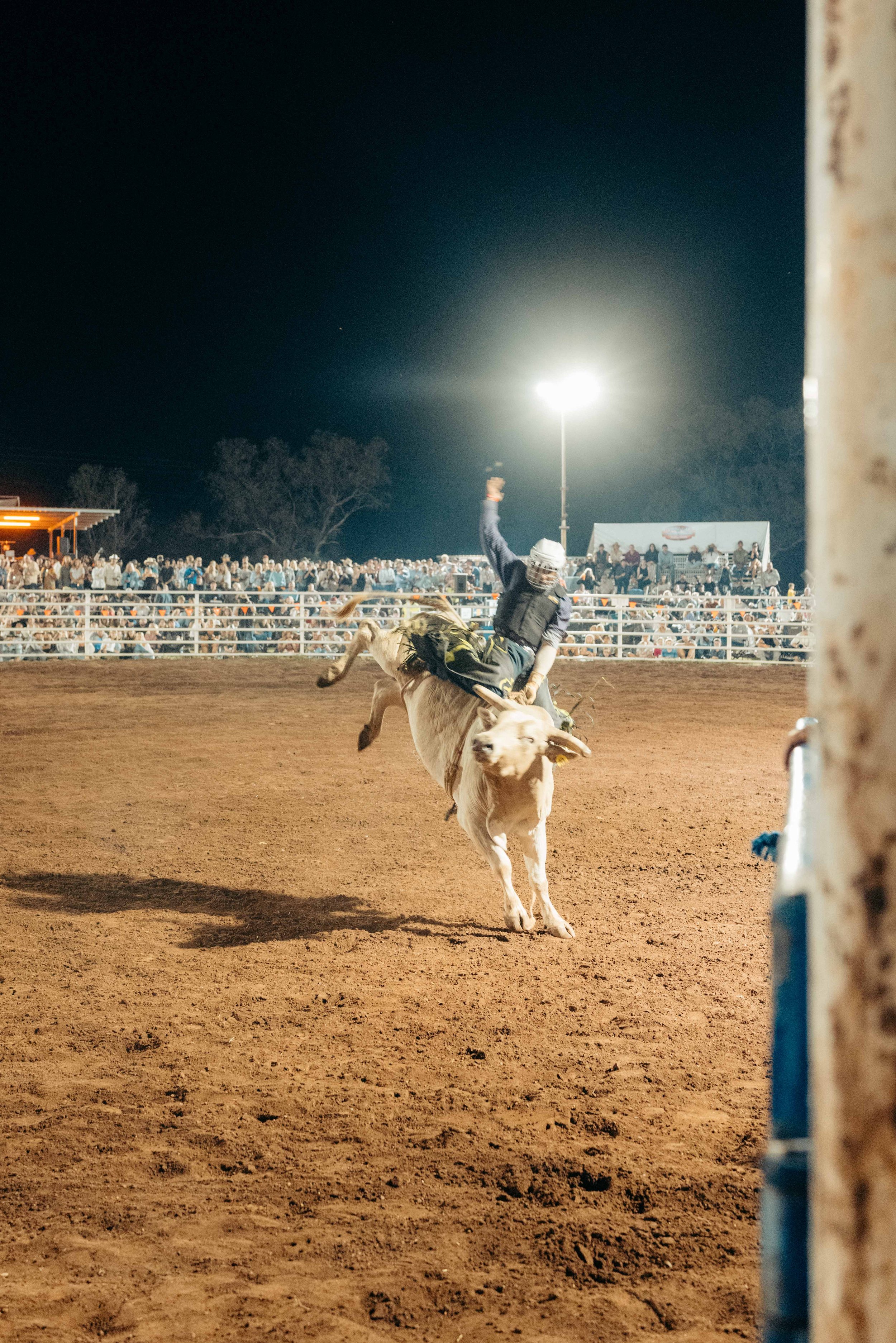 Rodeo -91-91.jpg