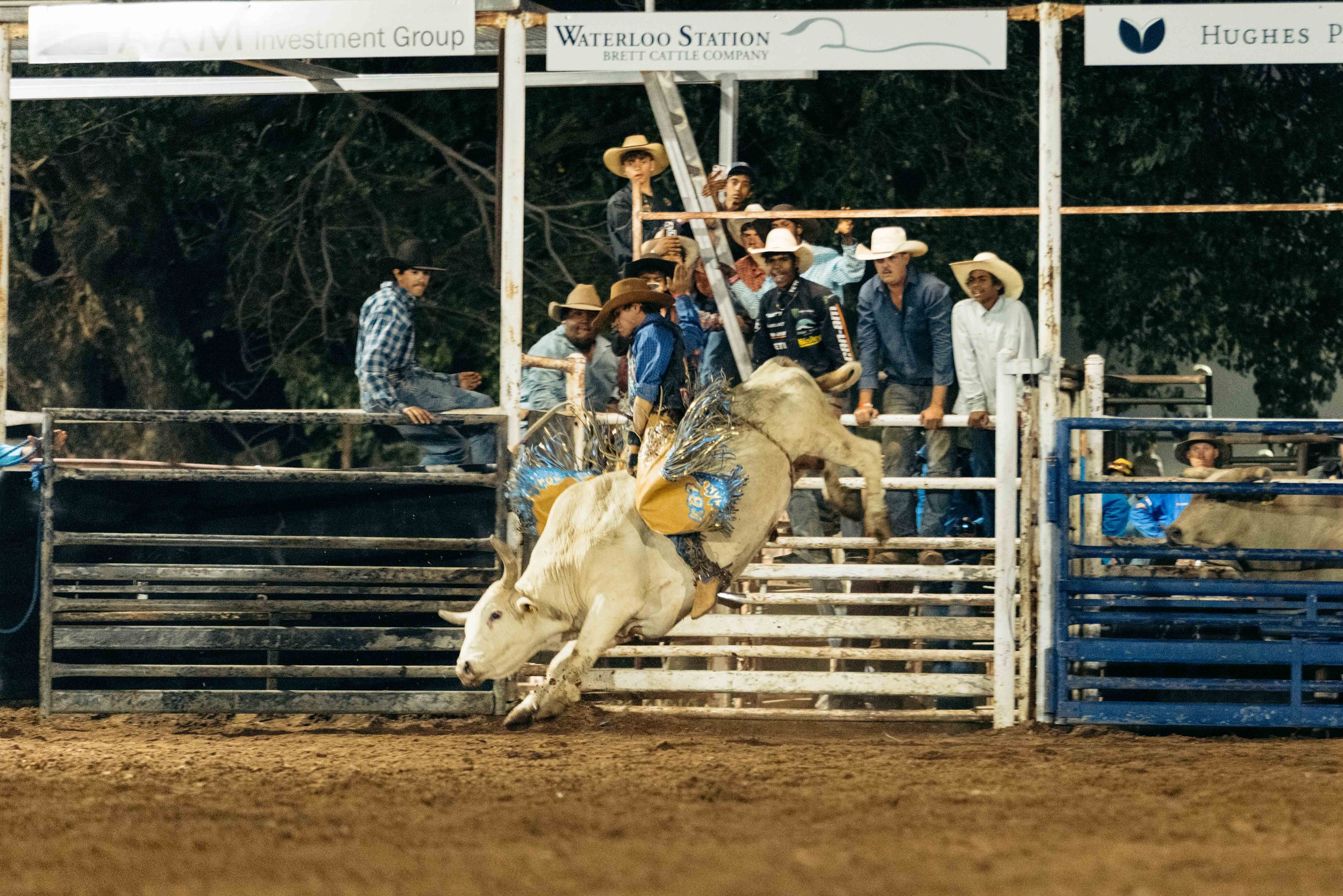 Rodeo -93-93.jpg