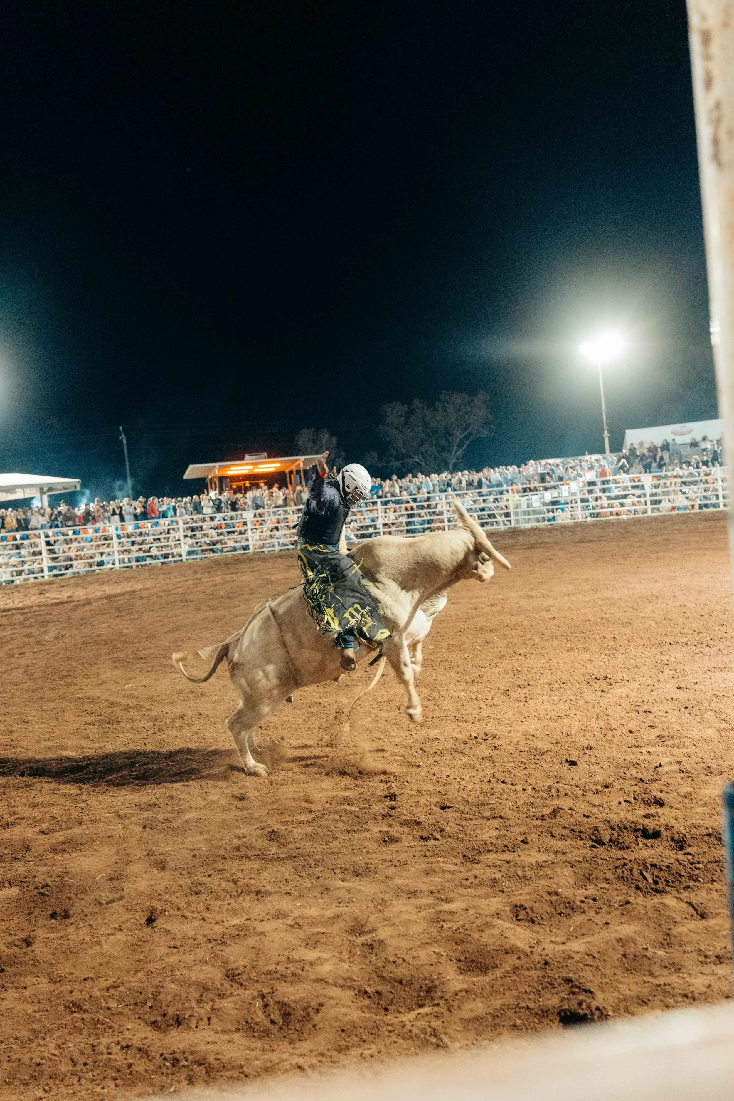 Rodeo -90-90.jpg