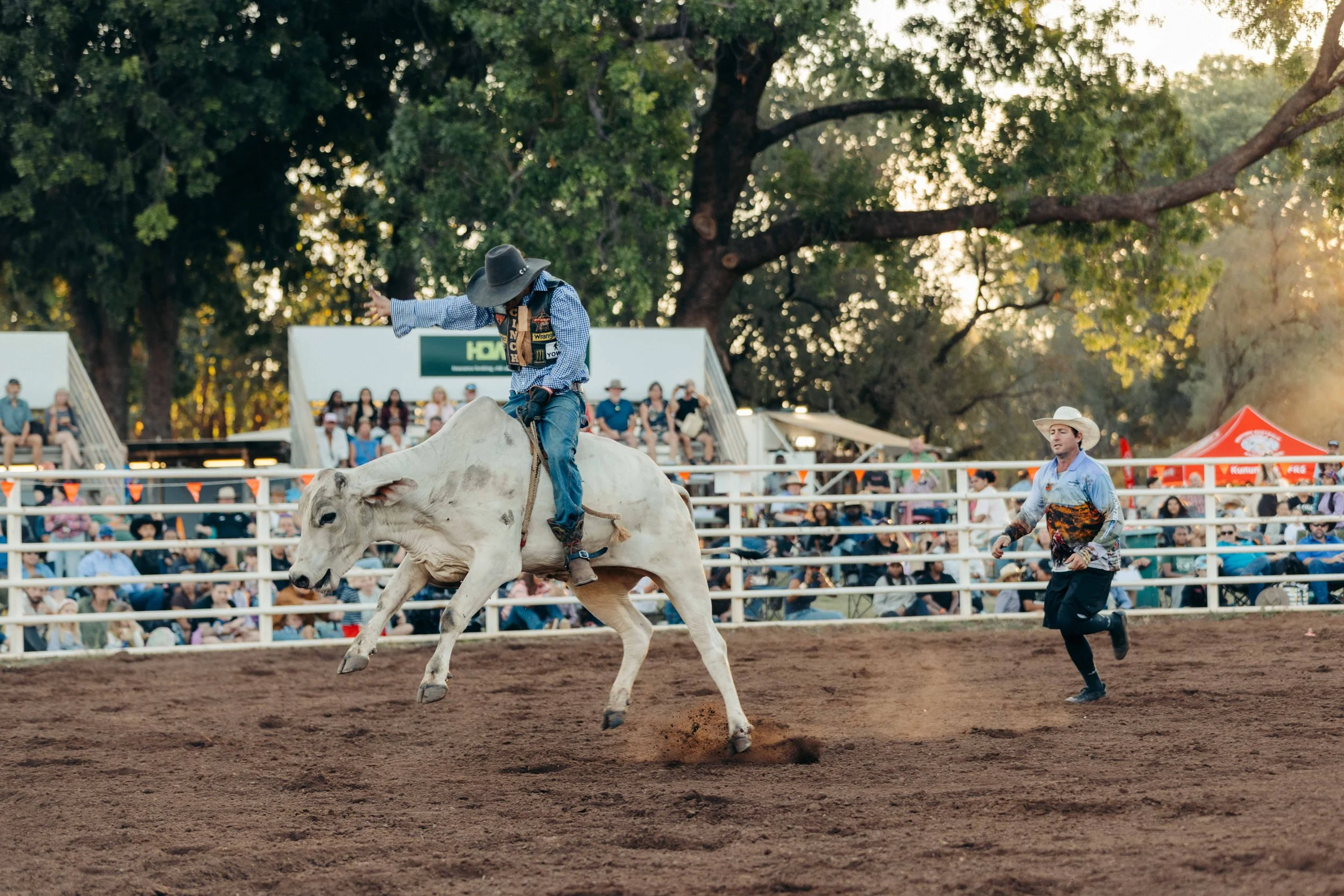 Rodeo -28-28.jpg