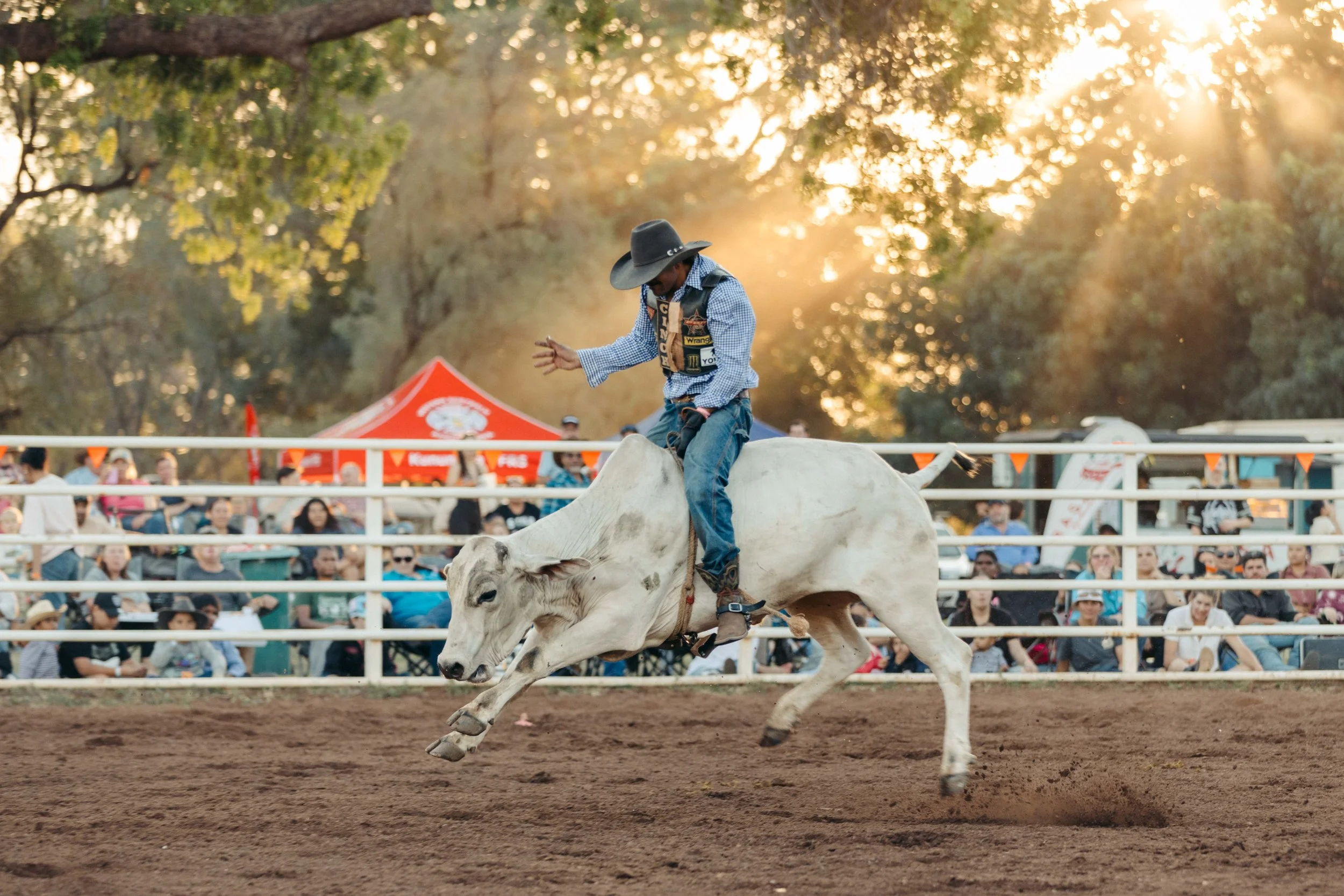 Rodeo -26-26.jpg