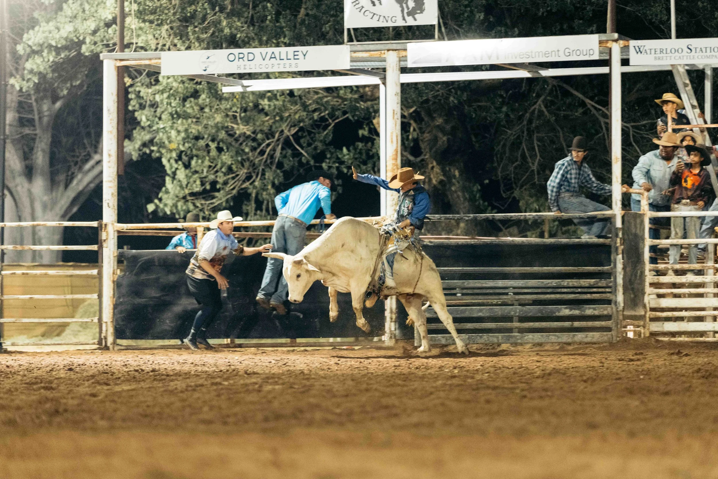 Rodeo -95-95.jpg