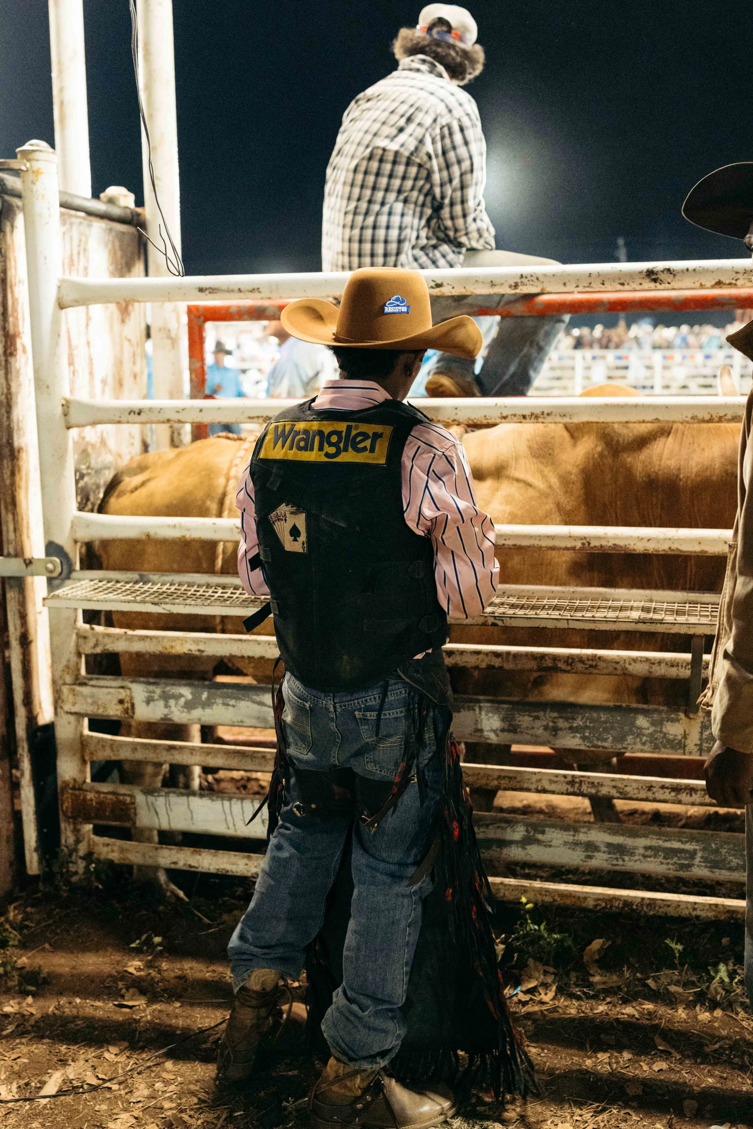 Rodeo -85-85.jpg