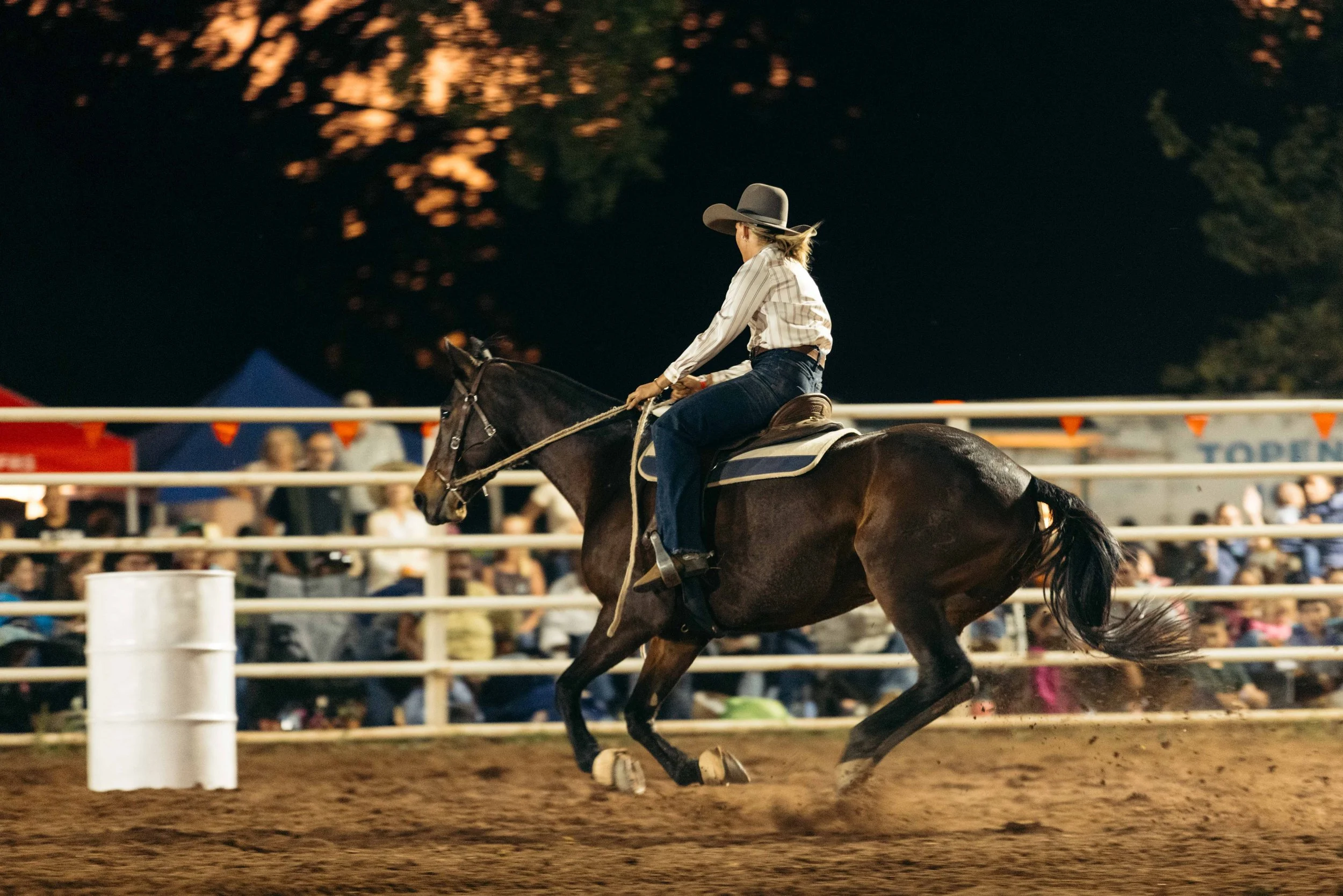 Rodeo -55-55.jpg
