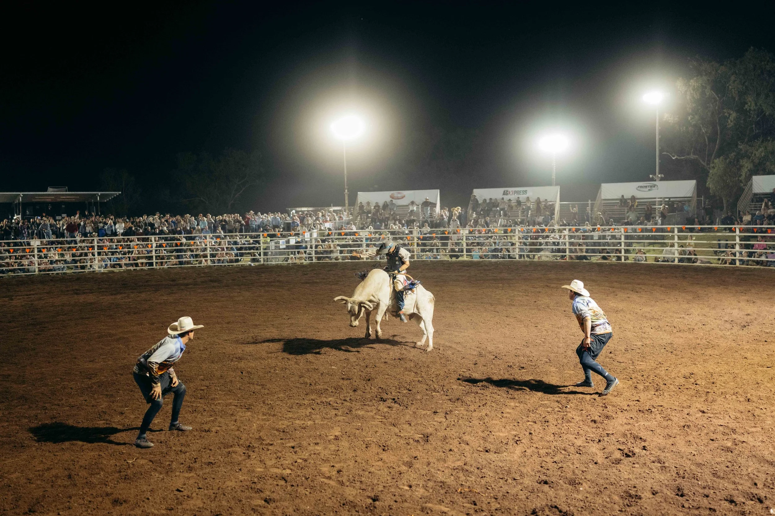 Rodeo -115-115.jpg