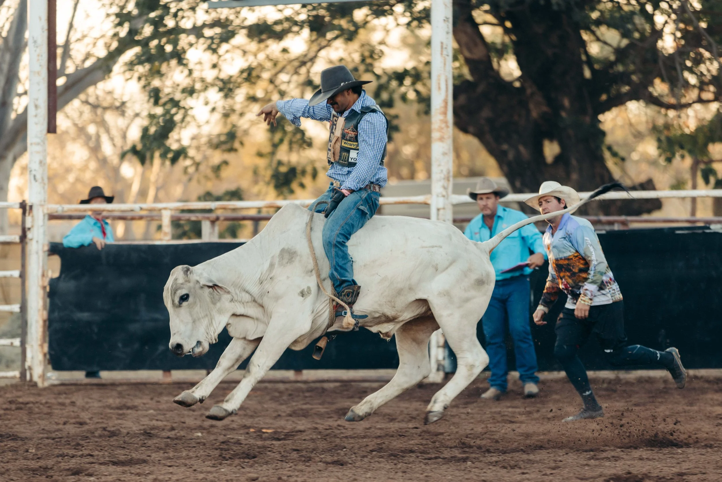 Rodeo -25-25.jpg