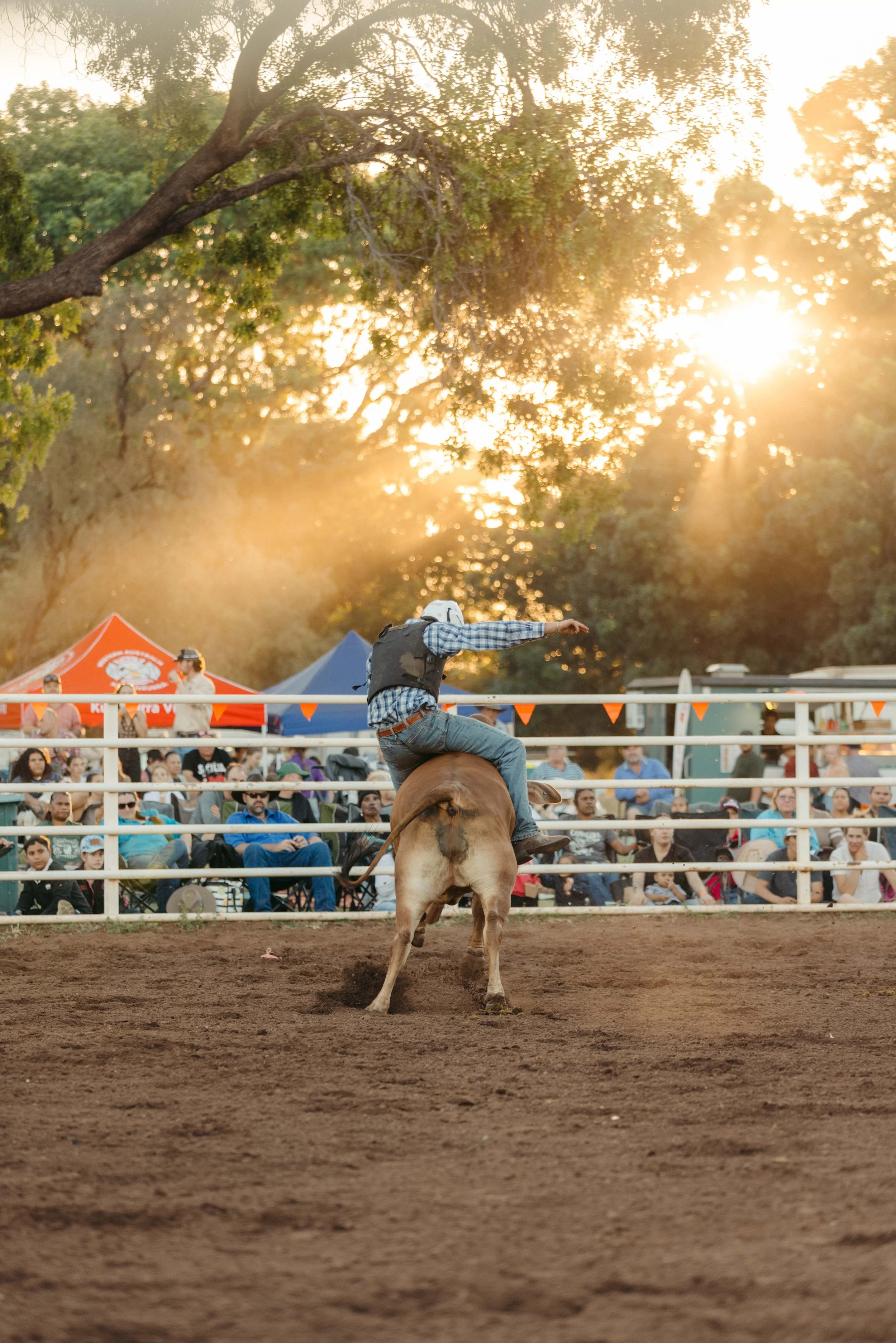 Rodeo -35-35.jpg