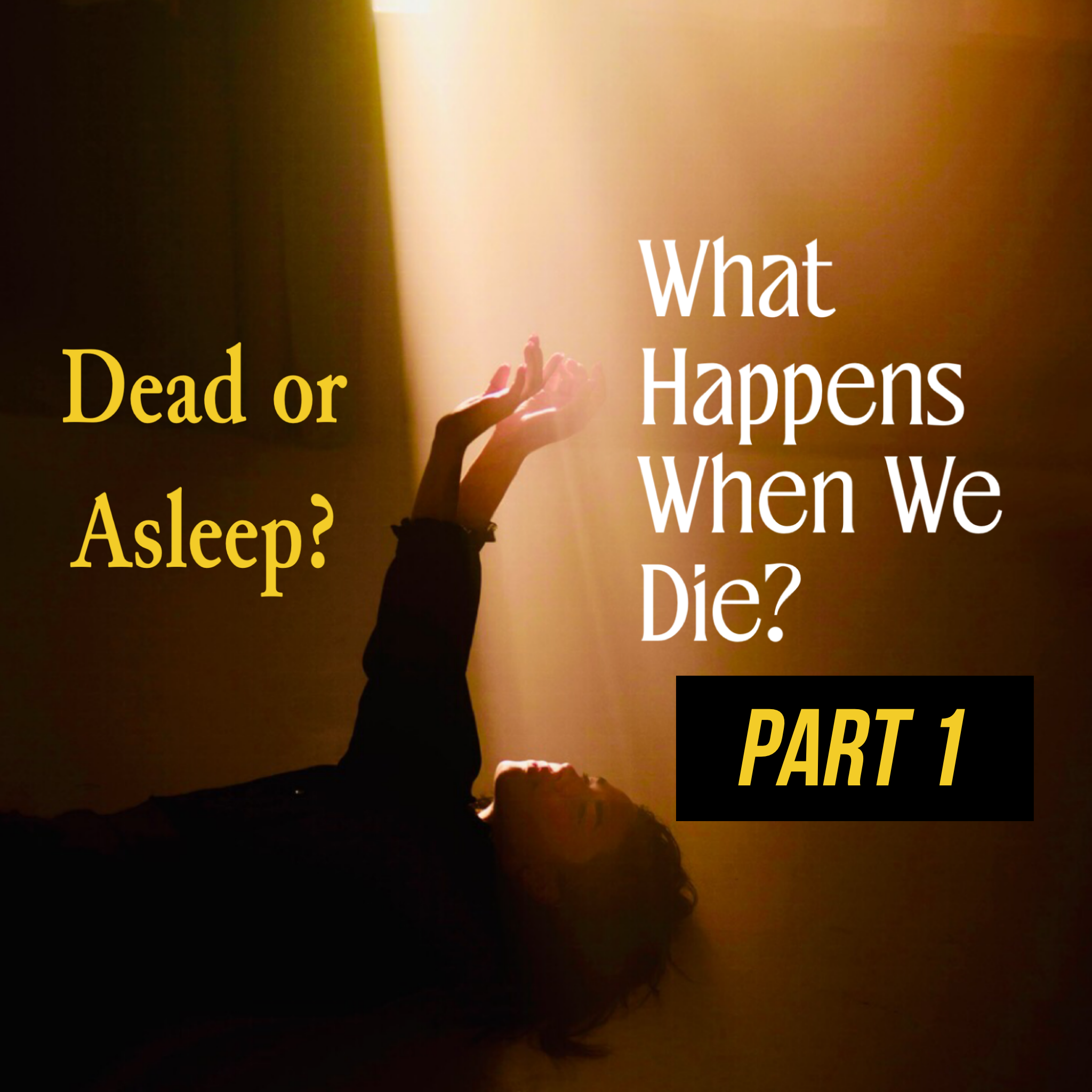 ‘What Happens When We Die?’