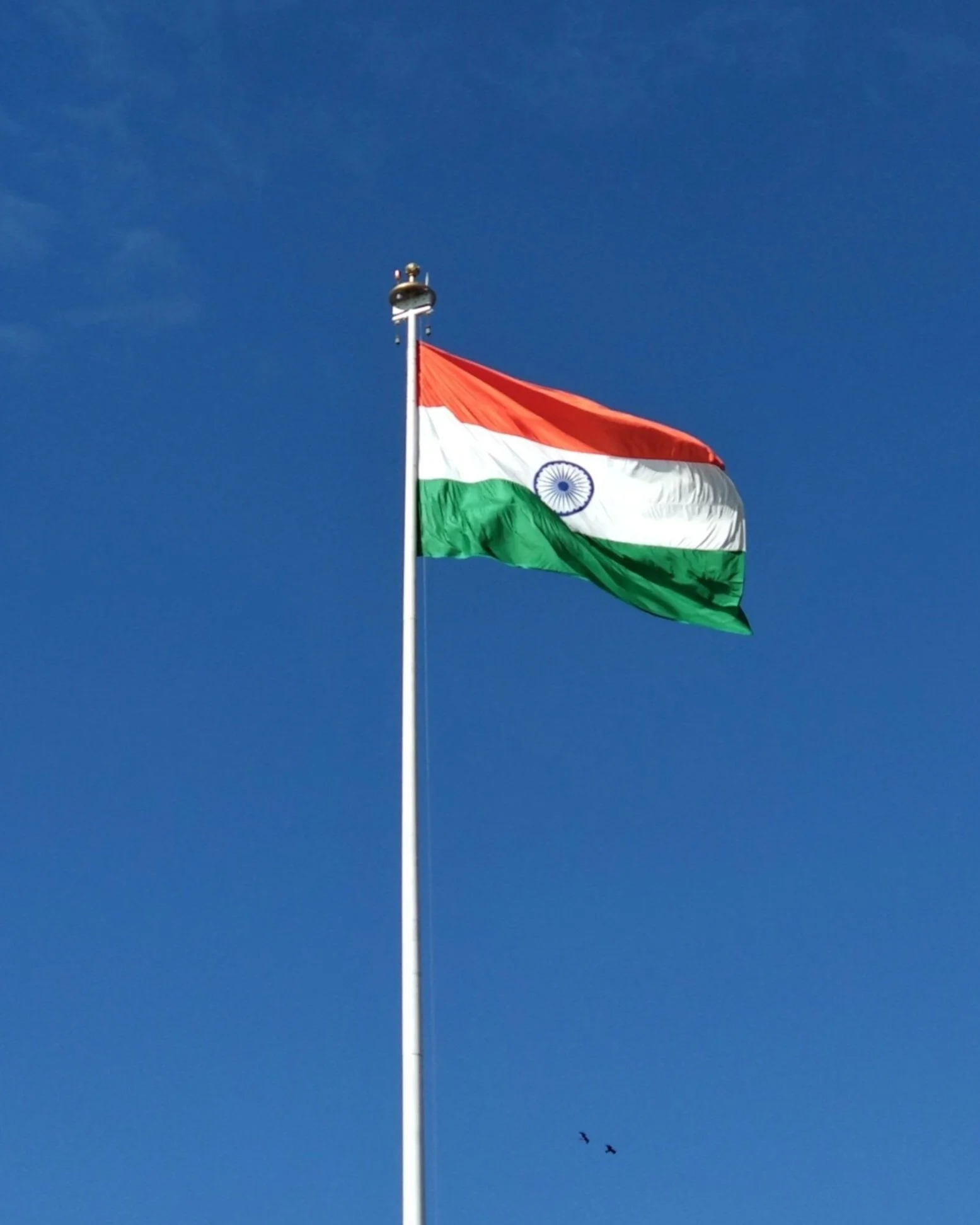 Gain expertise in Indian public policy through online learning