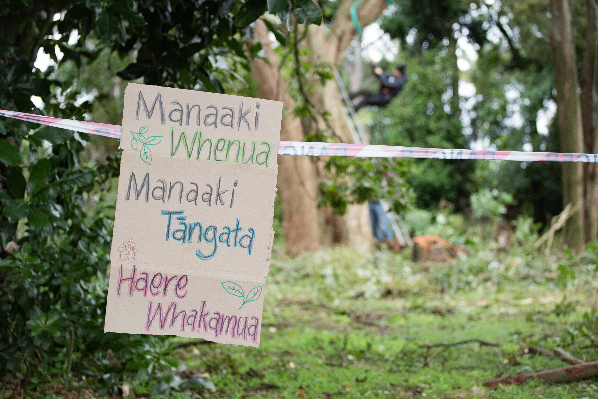 Native Tree-felling protest, 2020