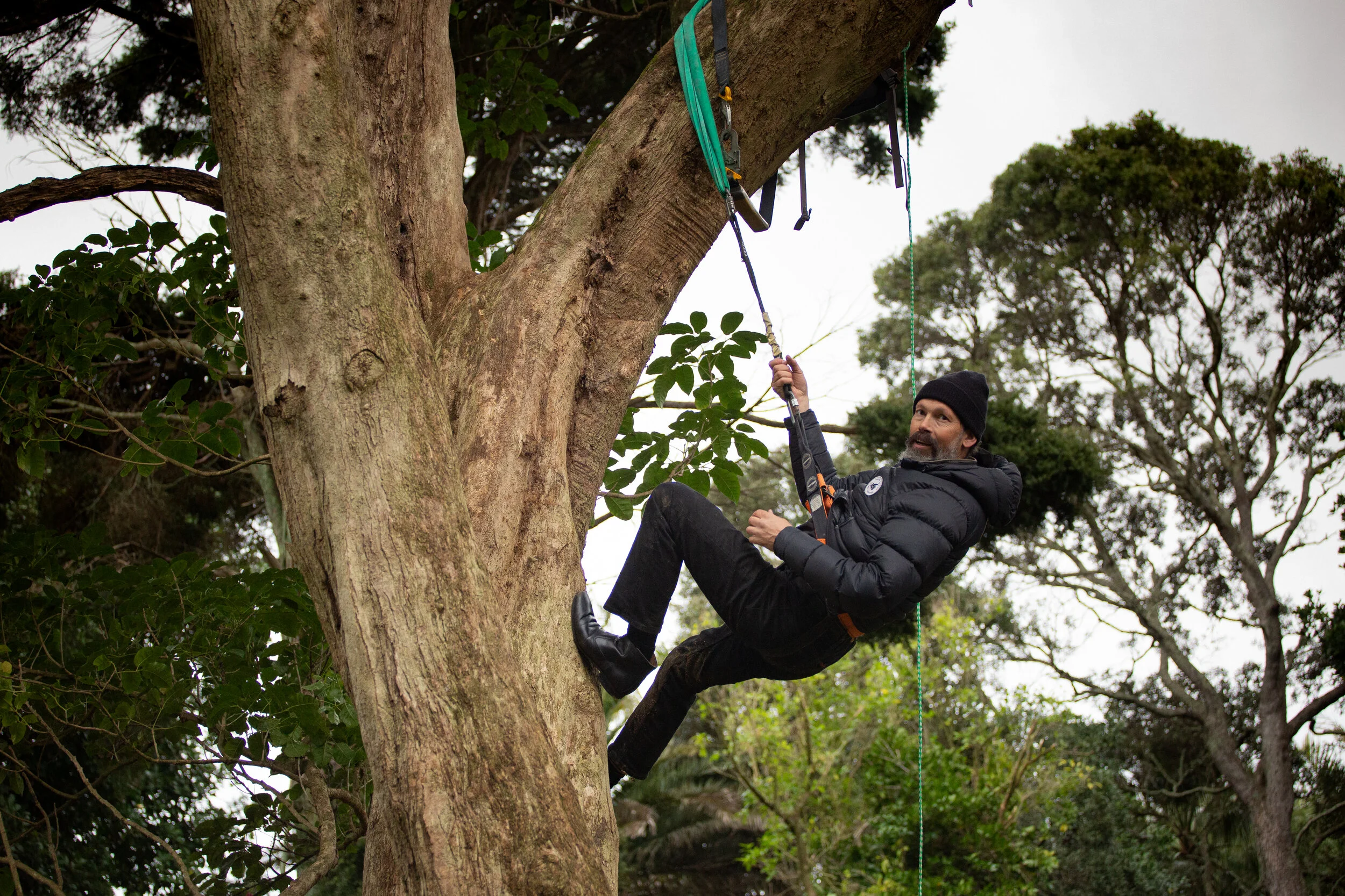 Native Tree-felling protest, 2020